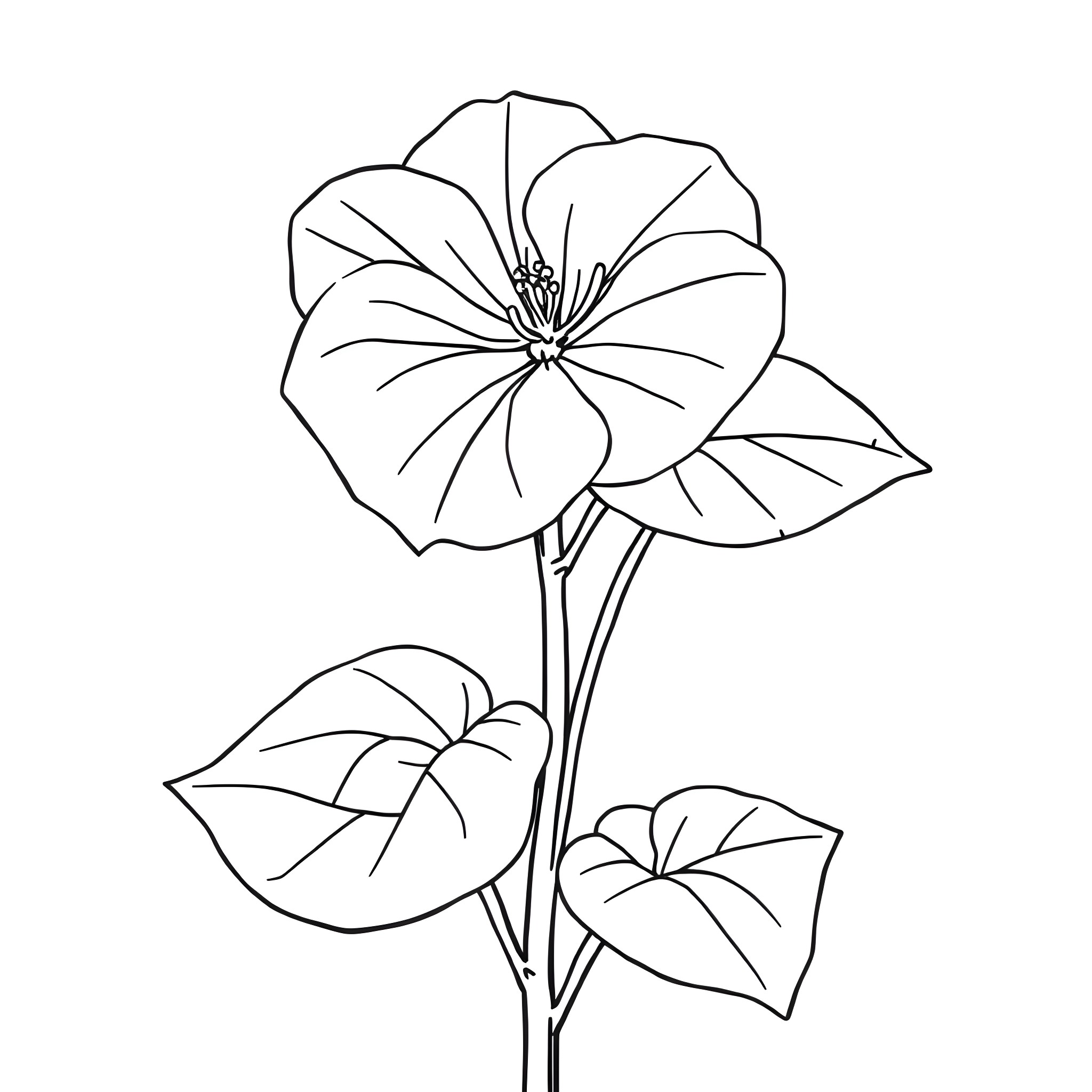 Impatiens flower with delicate petals Coloring Page (free black-and-white line drawing printable PDF for all, from beginners to advanced learners, including children, teens, adults, and seniors)
