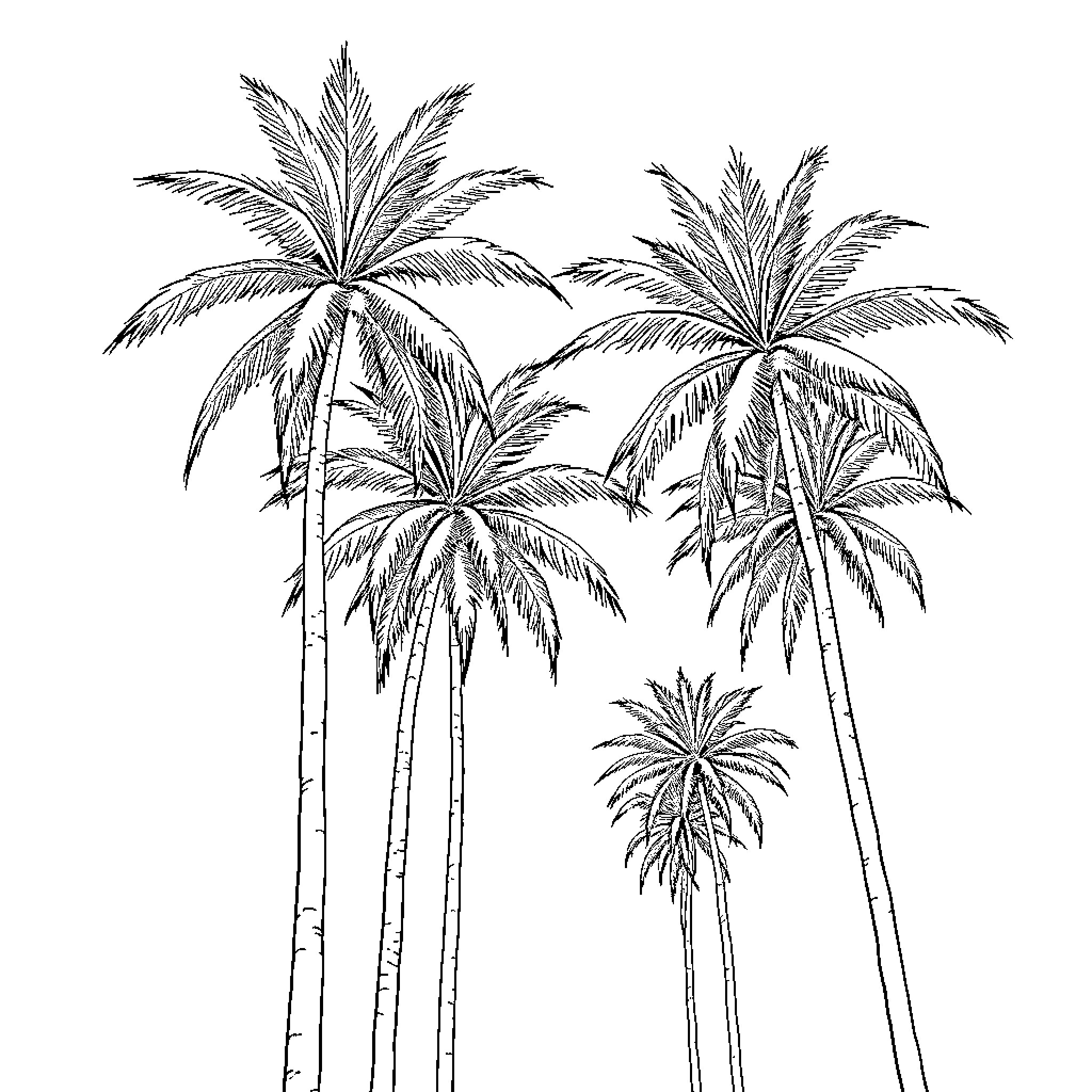 Palms in tropical paradise Coloring Page (free black-and-white line drawing printable PDF for all, from beginners to advanced learners, including children, teens, adults, and seniors)