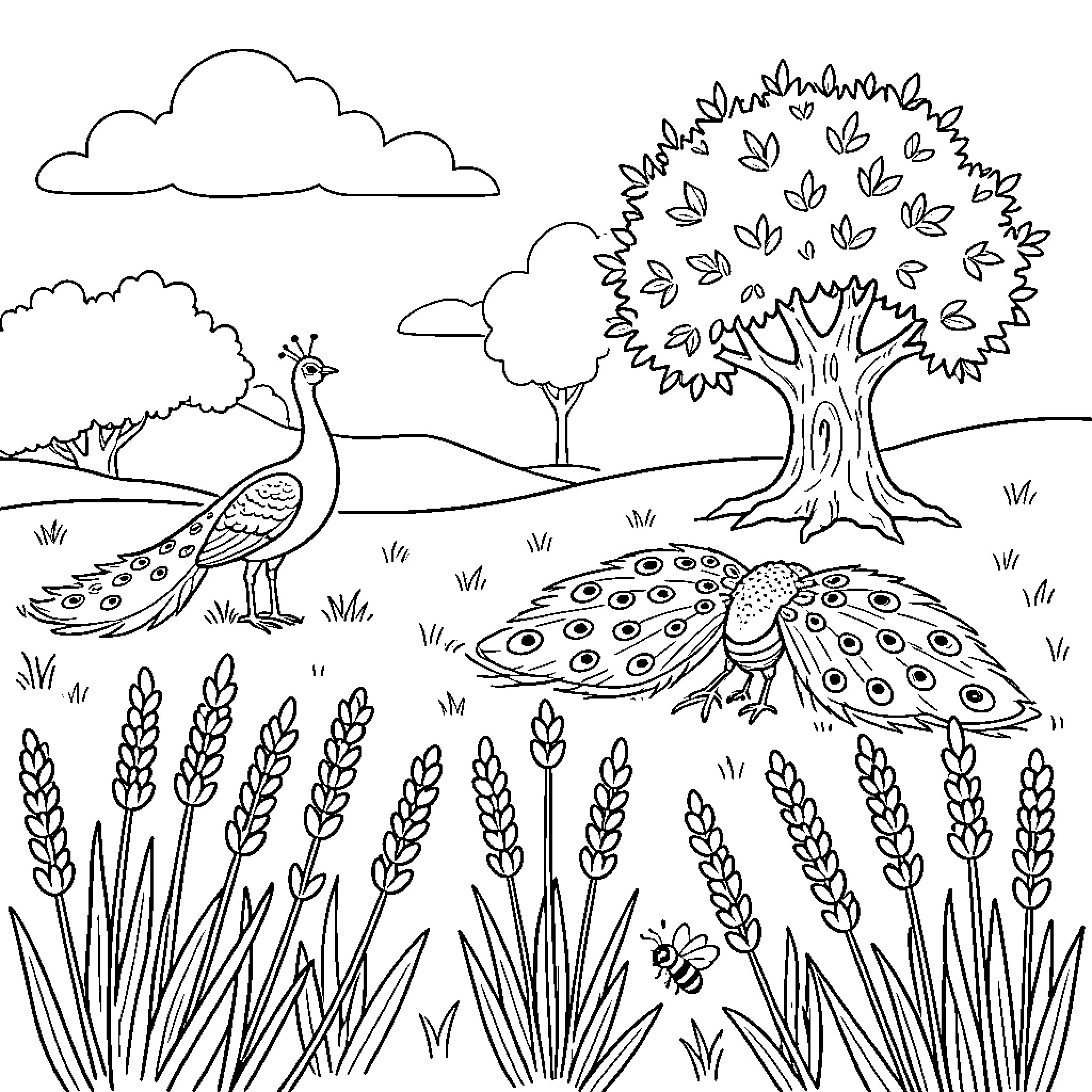 Lavender field featuring a peacock and a ladybug Coloring Page (free black-and-white line drawing printable PDF for all, from beginners to advanced learners, including children, teens, adults, and seniors)