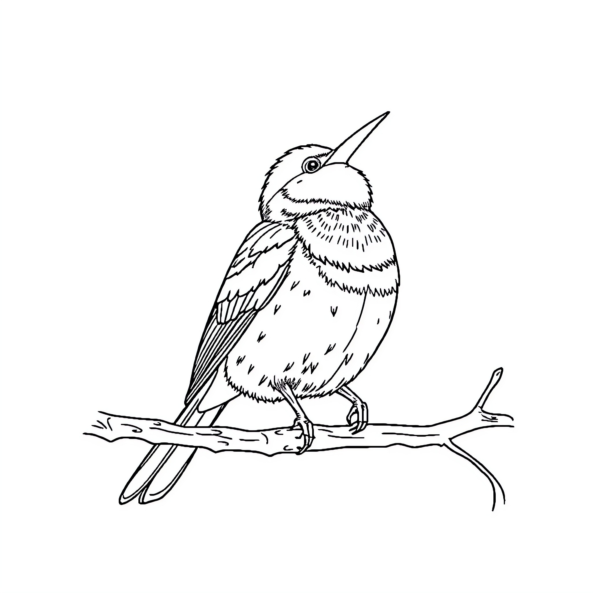Bird perched on a branch Coloring Page (free black-and-white line drawing printable PDF for all, from beginners to advanced learners, including children, teens, adults, and seniors)