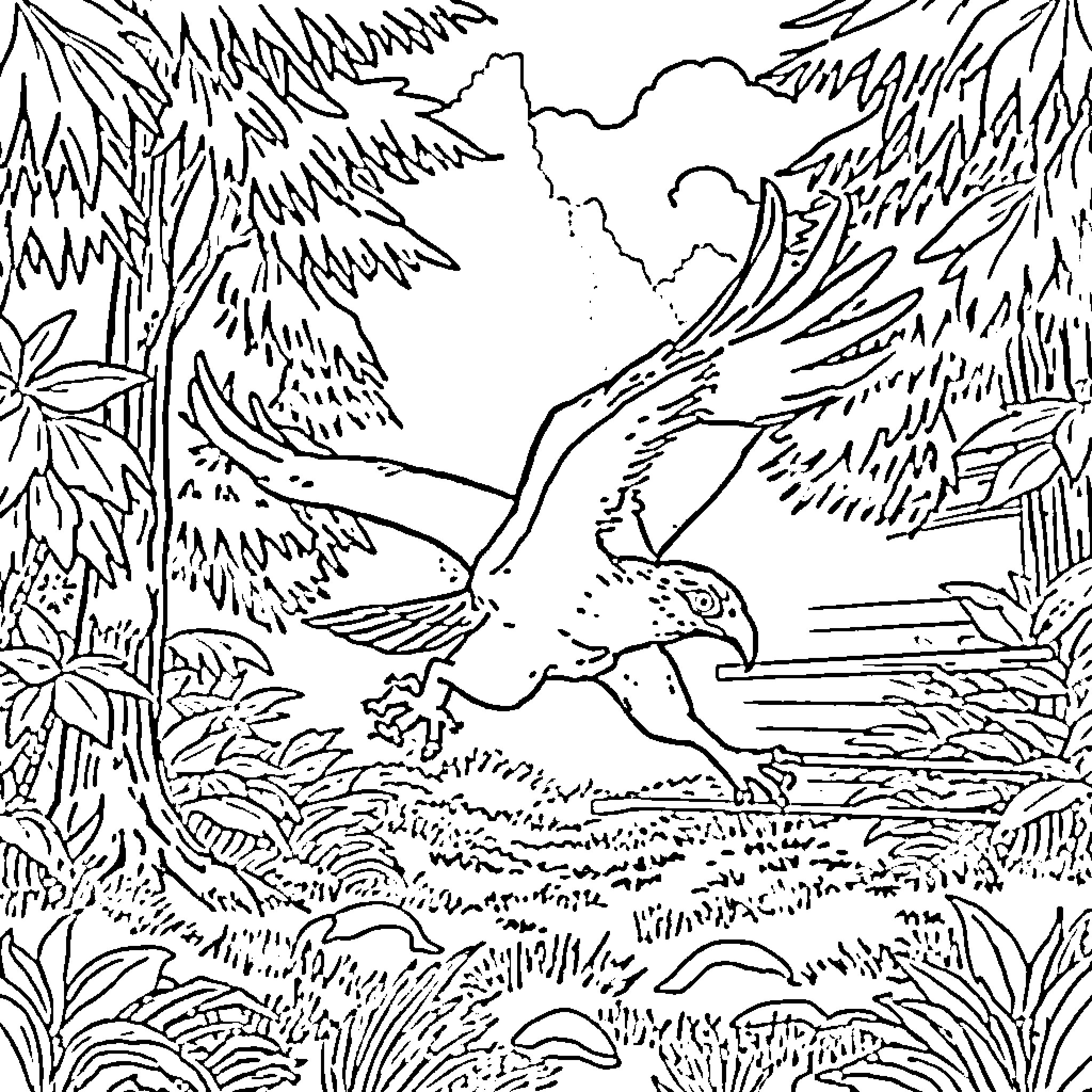 Raptor soaring gracefully through lush forest landscape Coloring Page (free black-and-white line drawing printable PDF for all, from beginners to advanced learners, including children, teens, adults, and seniors)