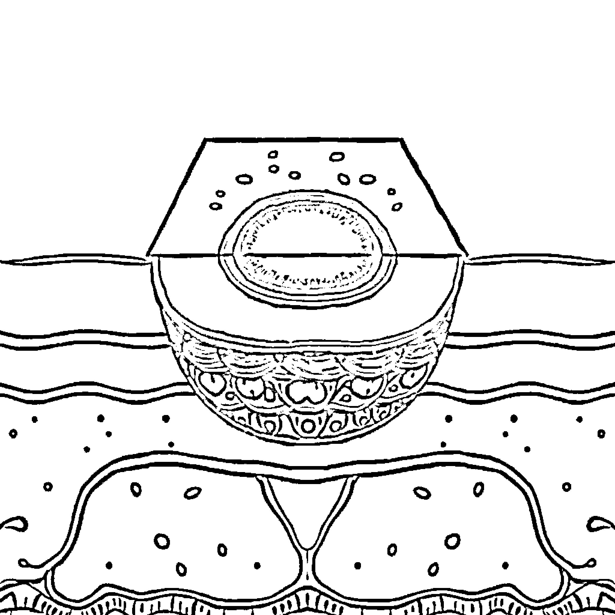 Epidermis of Artistic Ceramic Vessel Coloring Page (free black-and-white line drawing printable PDF for all, from beginners to advanced learners, including children, teens, adults, and seniors)