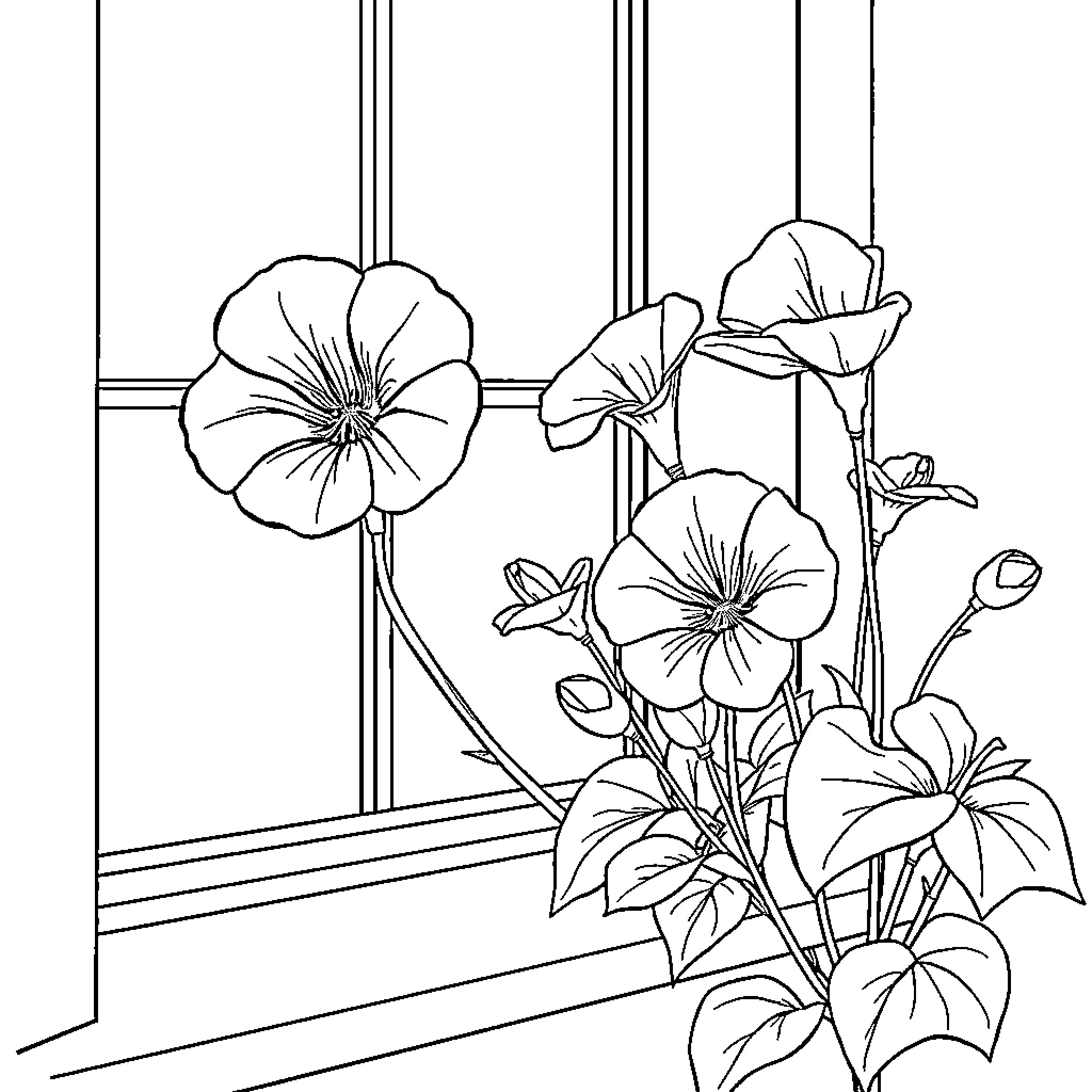 Bagonia Blooms Gracing the Window Coloring Page (free black-and-white line drawing printable PDF for all, from beginners to advanced learners, including children, teens, adults, and seniors)