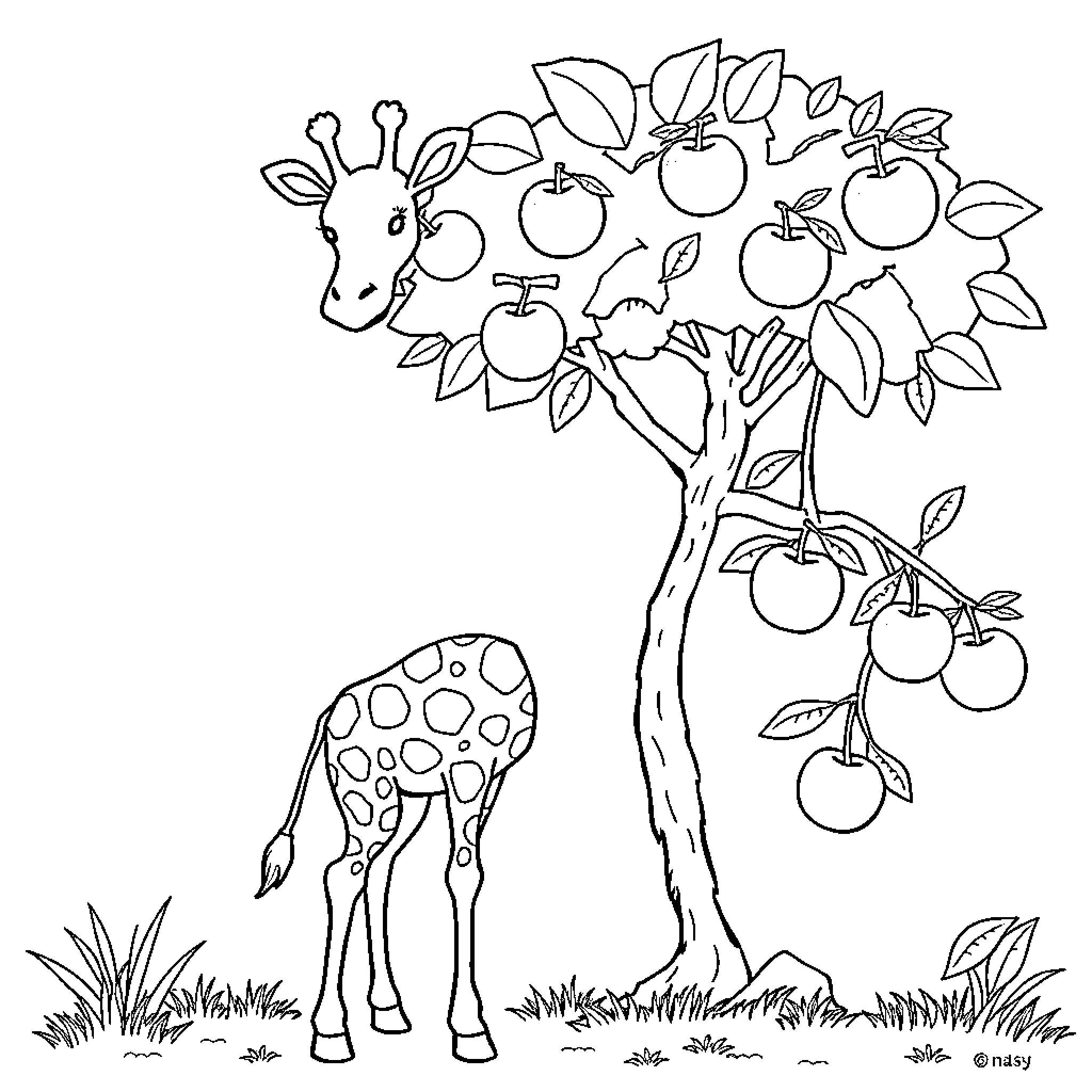 Giraffe exploring fruit-laden tree Coloring Page (free black-and-white line drawing printable PDF for all, from beginners to advanced learners, including children, teens, adults, and seniors)