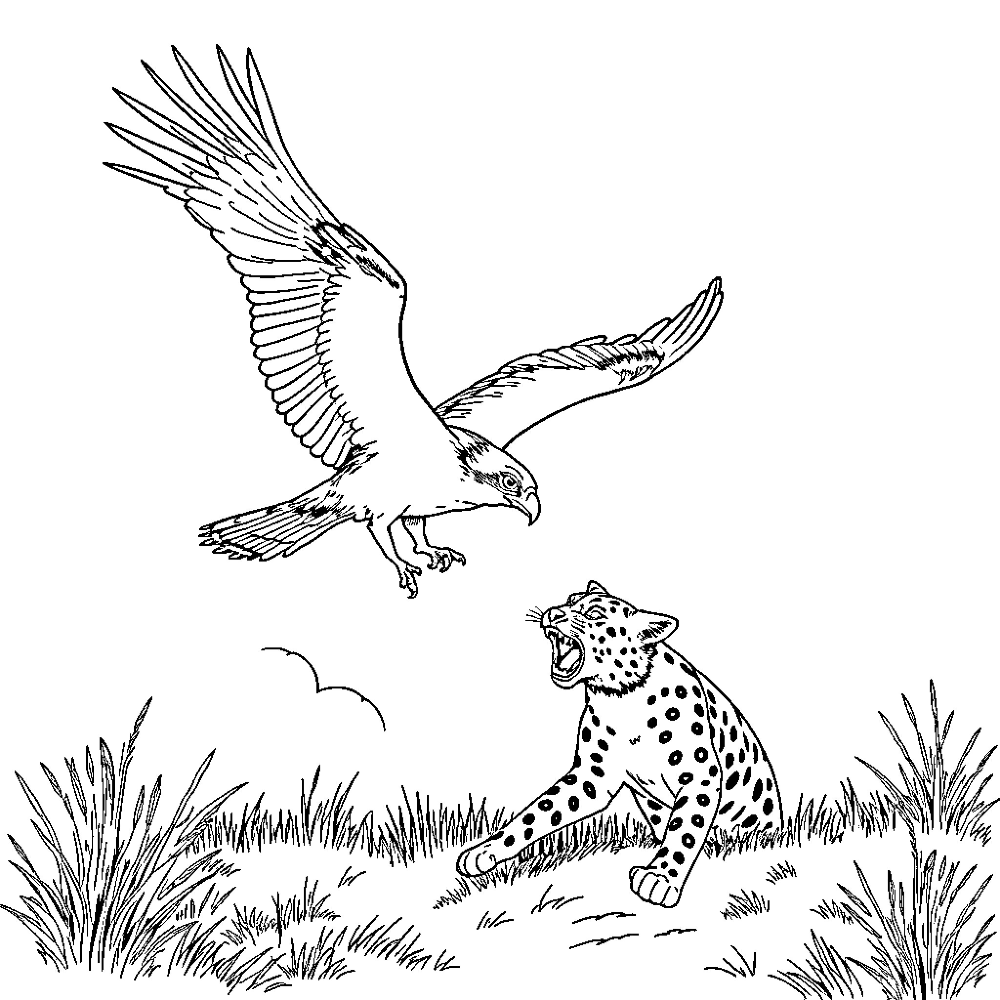 Osprey hunting above spotted cat in grassland Coloring Page (free black-and-white line drawing printable PDF for all, from beginners to advanced learners, including children, teens, adults, and seniors)