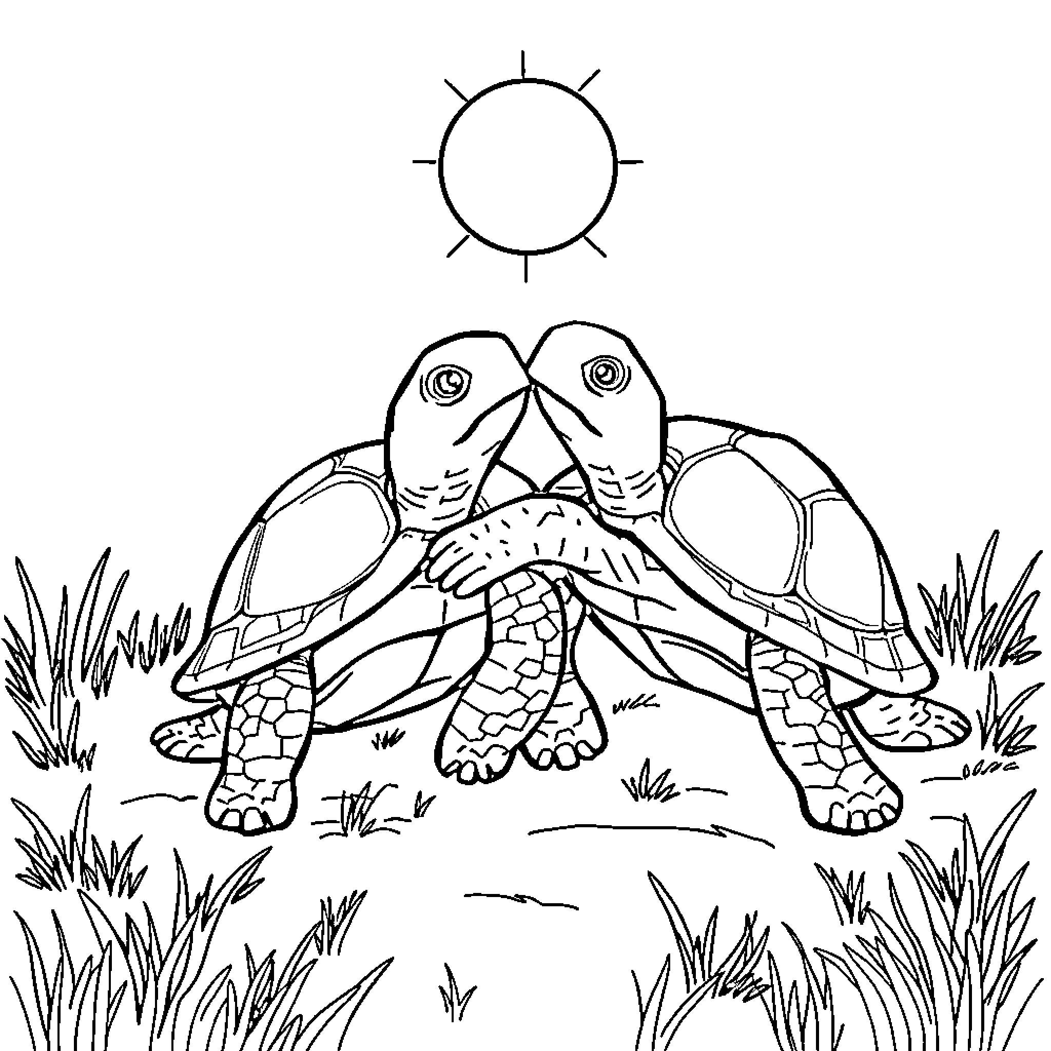 Turtle Resting in Peaceful Nature Scene Coloring Page (free black-and-white line drawing printable PDF for all, from beginners to advanced learners, including children, teens, adults, and seniors)