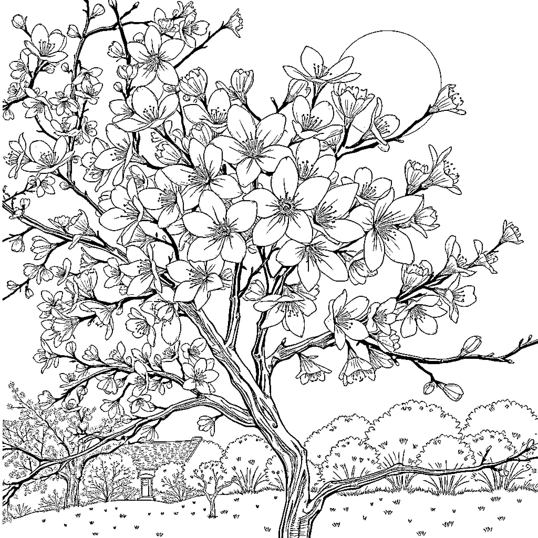 Cherry Blossom Tree in Tranquil Landscape Coloring Page (free black-and-white line drawing printable PDF for all, from beginners to advanced learners, including children, teens, adults, and seniors)