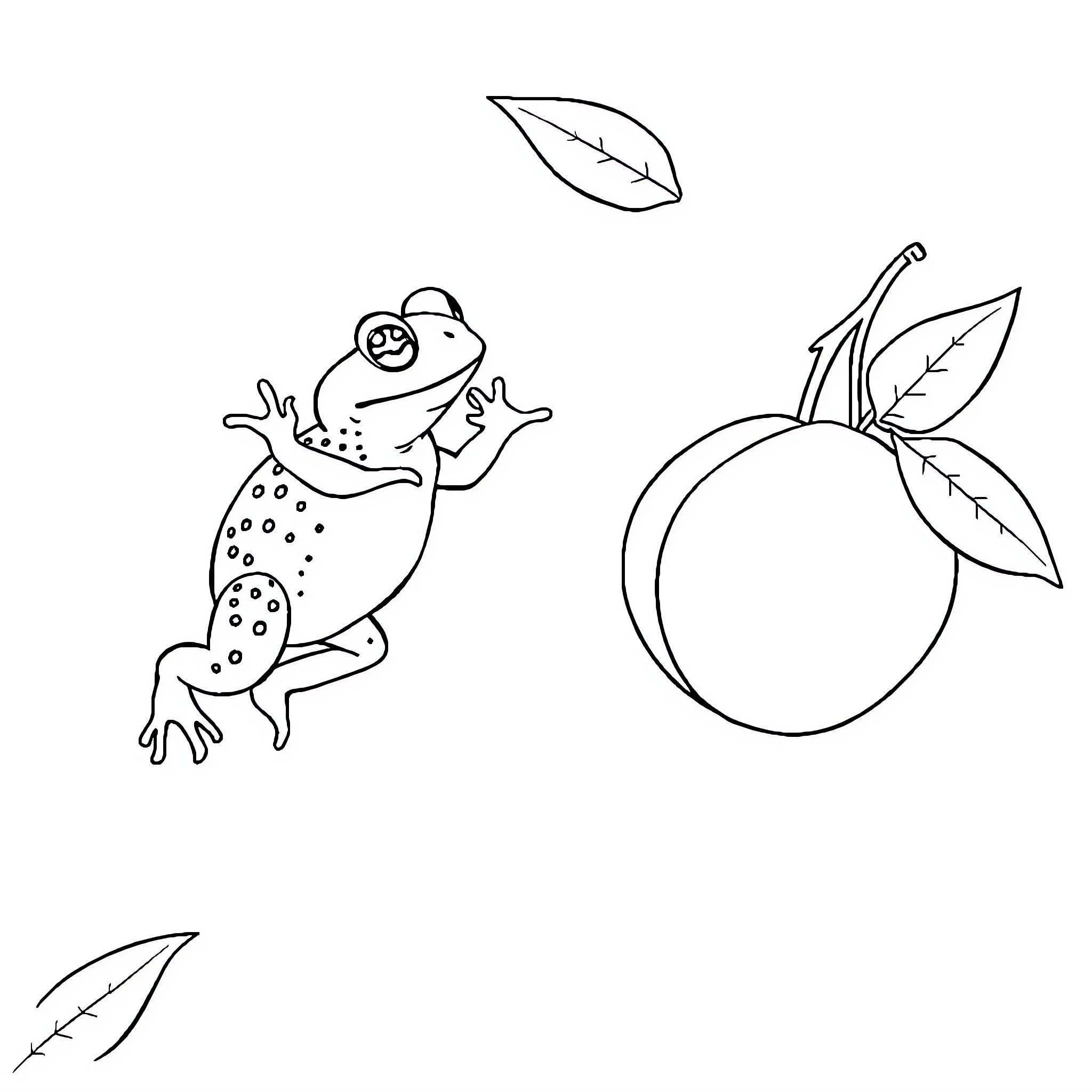 Toad leaping joyfully near ripe fruit Coloring Page (free black-and-white line drawing printable PDF for all, from beginners to advanced learners, including children, teens, adults, and seniors)