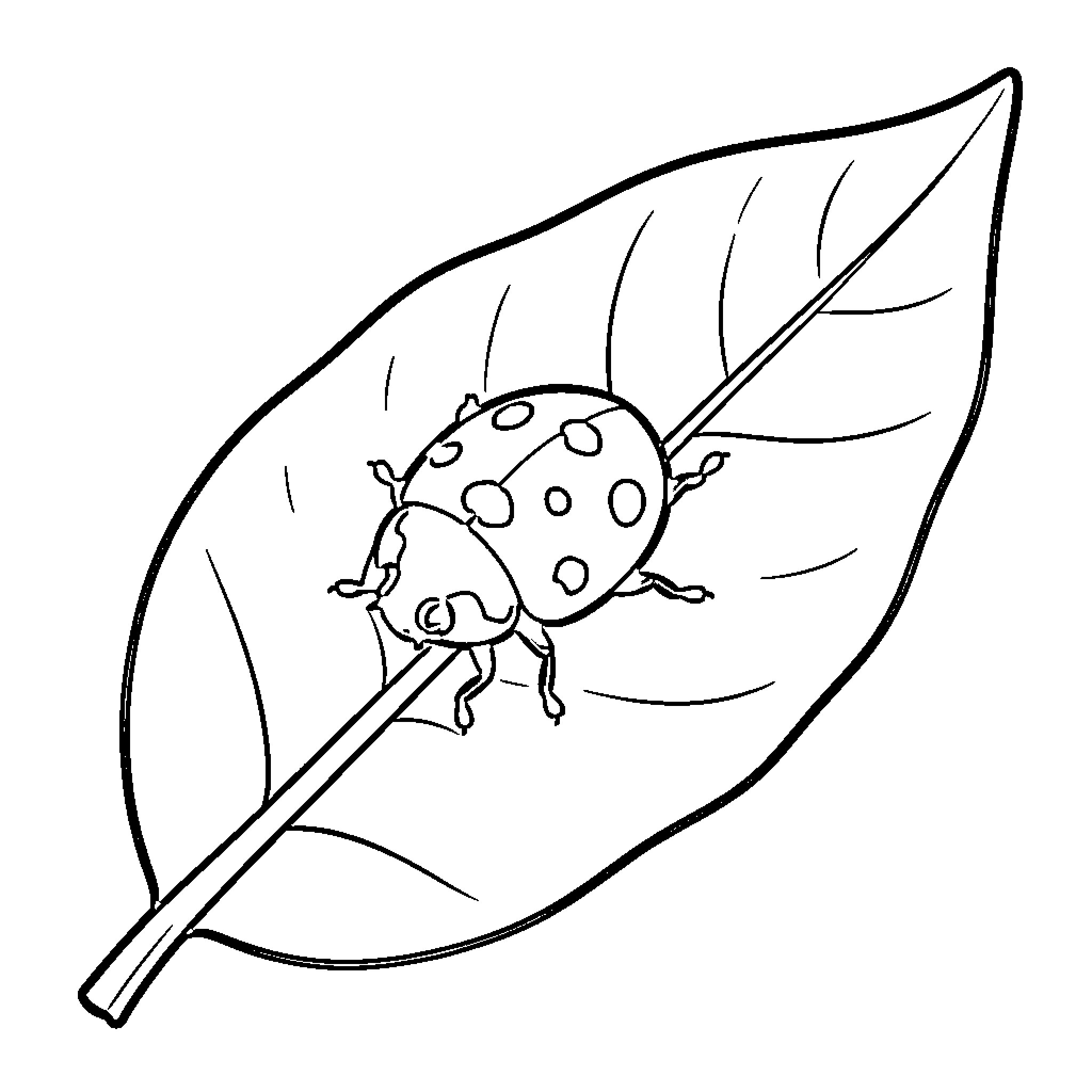 Ladybug resting on leaf Coloring Page (free black-and-white line drawing printable PDF for all, from beginners to advanced learners, including children, teens, adults, and seniors)