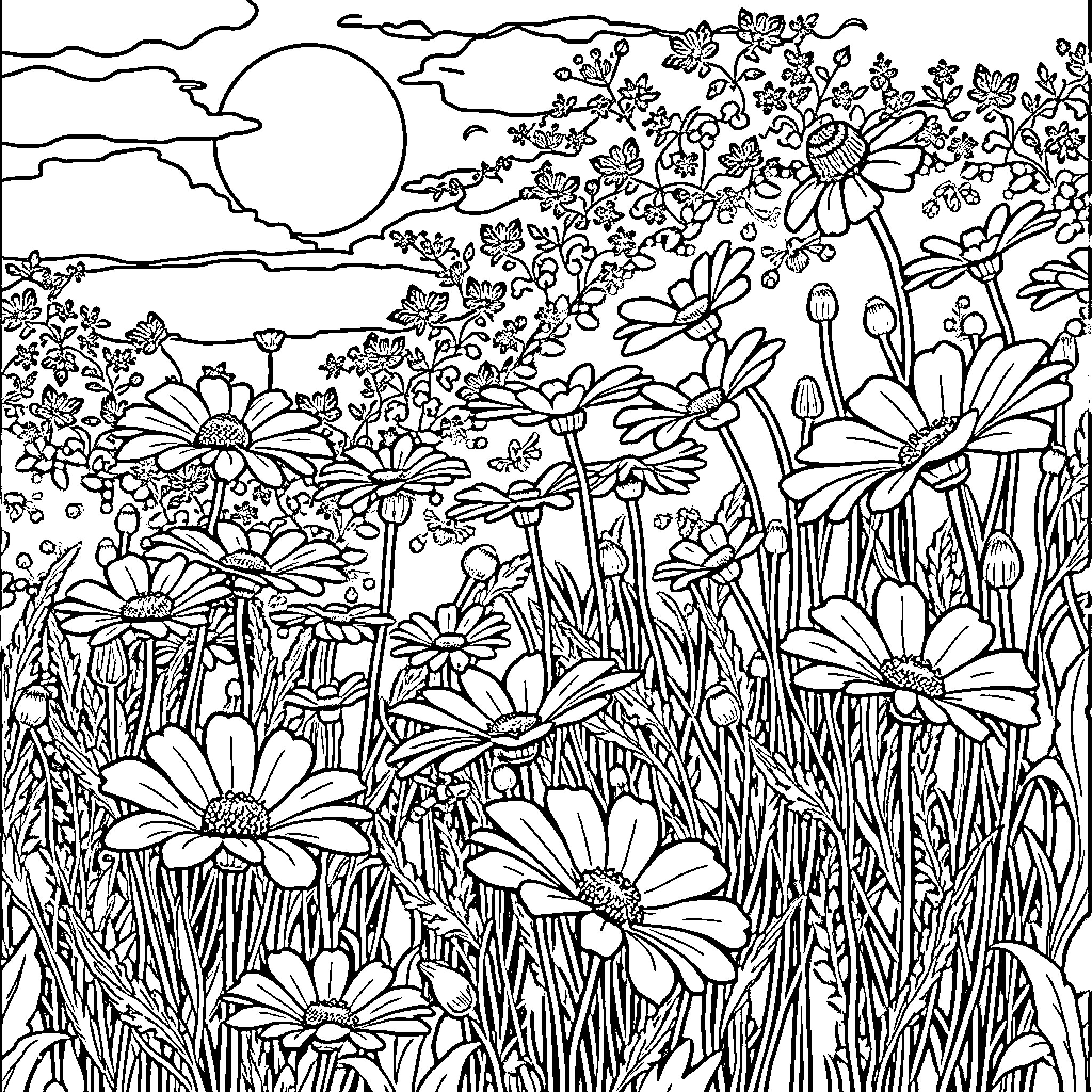 Cosmos Blooming Floral Landscape under Moonlight Coloring Page (free black-and-white line drawing printable PDF for all, from beginners to advanced learners, including children, teens, adults, and seniors)