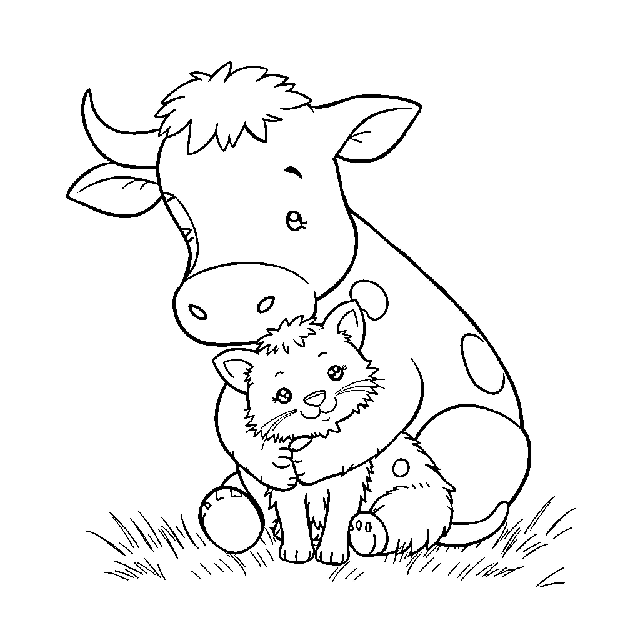Cow cub cuddling with a kitten Coloring Page (free black-and-white line drawing printable PDF for all, from beginners to advanced learners, including children, teens, adults, and seniors)