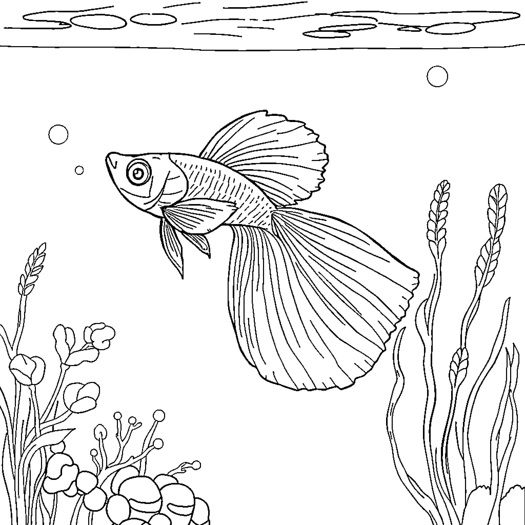 Guppy swimming among underwater plants Coloring Page (free black-and-white line drawing printable PDF for all, from beginners to advanced learners, including children, teens, adults, and seniors)