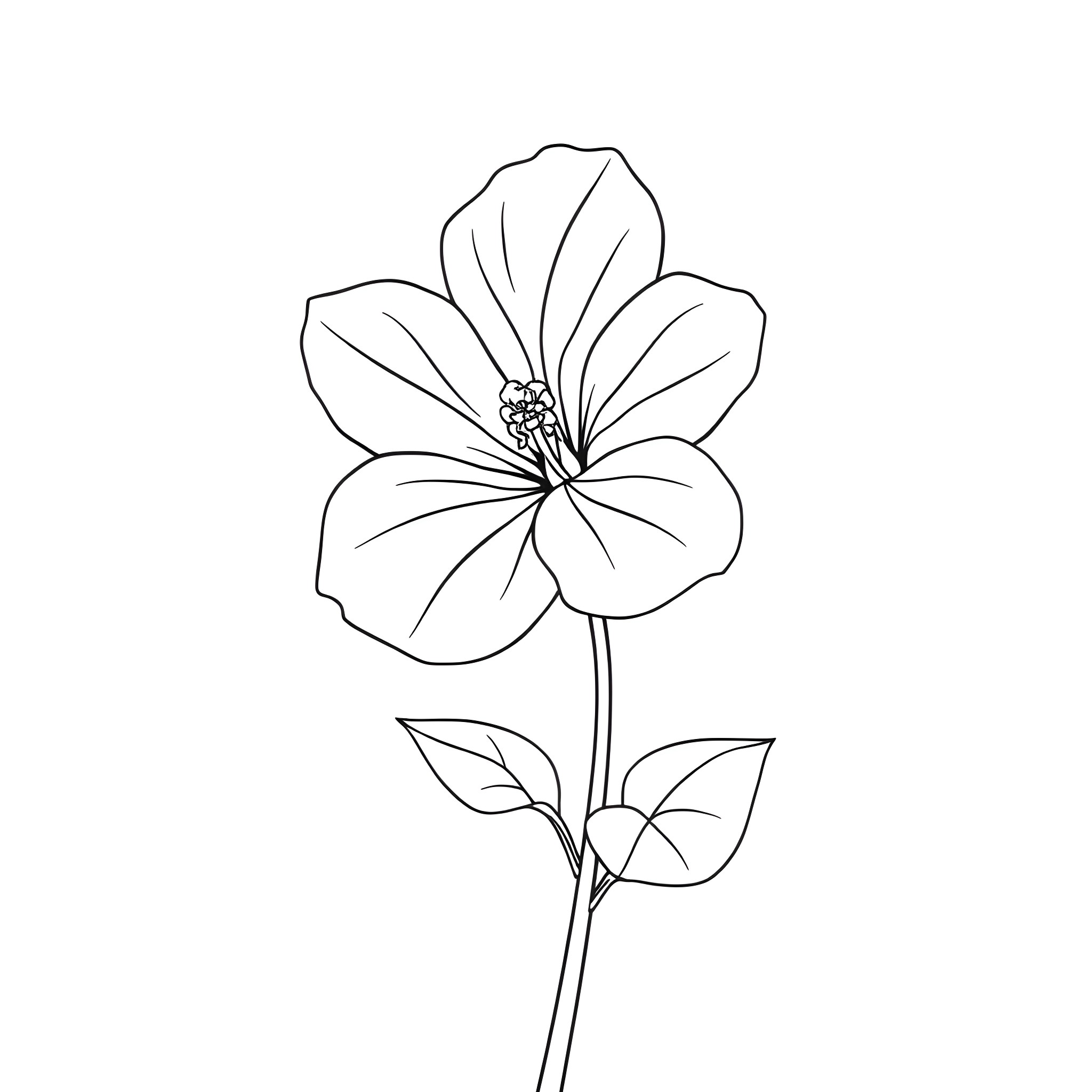 Impatien flower blooming with graceful petals Coloring Page (free black-and-white line drawing printable PDF for all, from beginners to advanced learners, including children, teens, adults, and seniors)