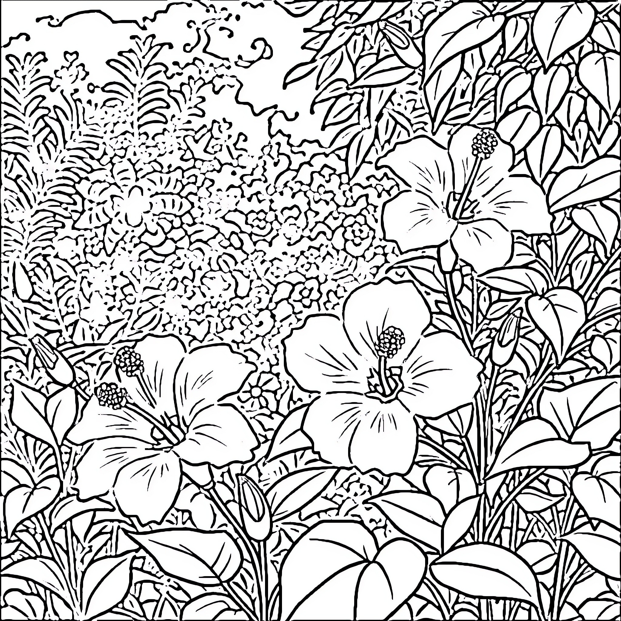 Hibiscus flowers in a tropical garden Coloring Page (free black-and-white line drawing printable PDF for all, from beginners to advanced learners, including children, teens, adults, and seniors)