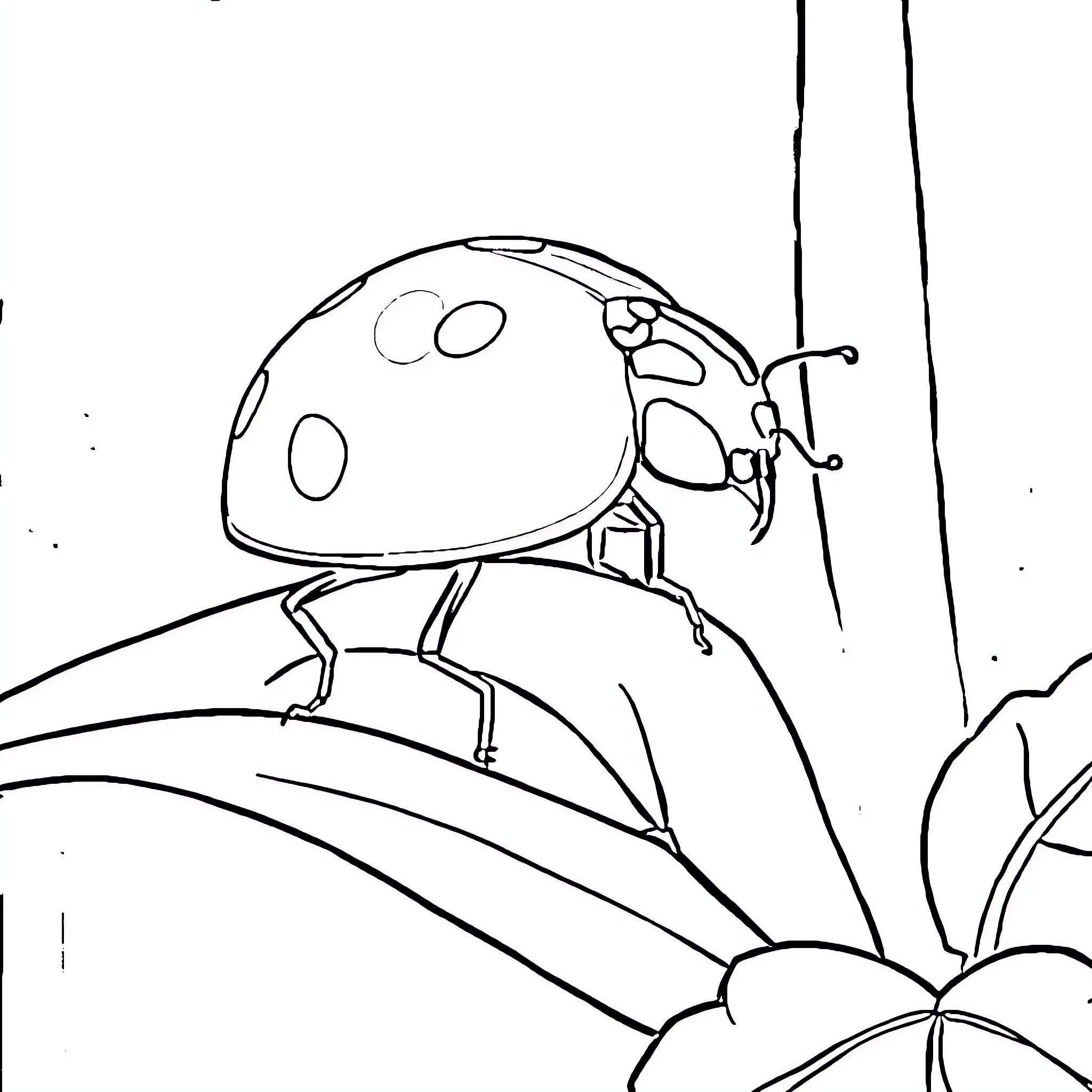 Ladybug resting on a leaf Coloring Page (free black-and-white line drawing printable PDF for all, from beginners to advanced learners, including children, teens, adults, and seniors)