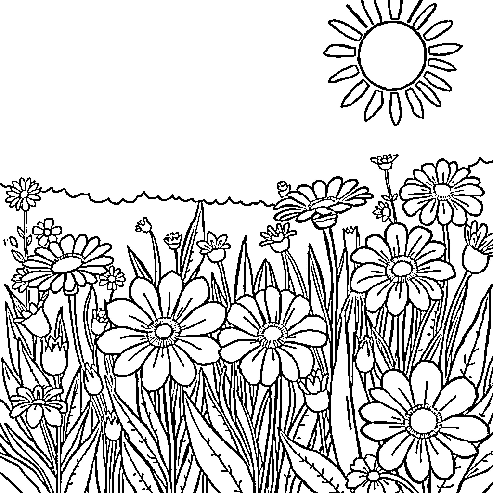 Flower field with blooming daisies Coloring Page (free black-and-white line drawing printable PDF for all, from beginners to advanced learners, including children, teens, adults, and seniors)