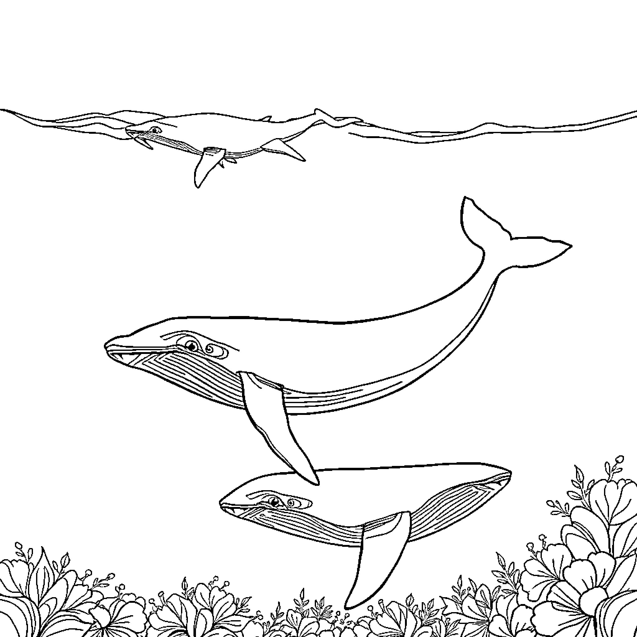 Whales swimming gracefully in the ocean Coloring Page (free black-and-white line drawing printable PDF for all, from beginners to advanced learners, including children, teens, adults, and seniors)