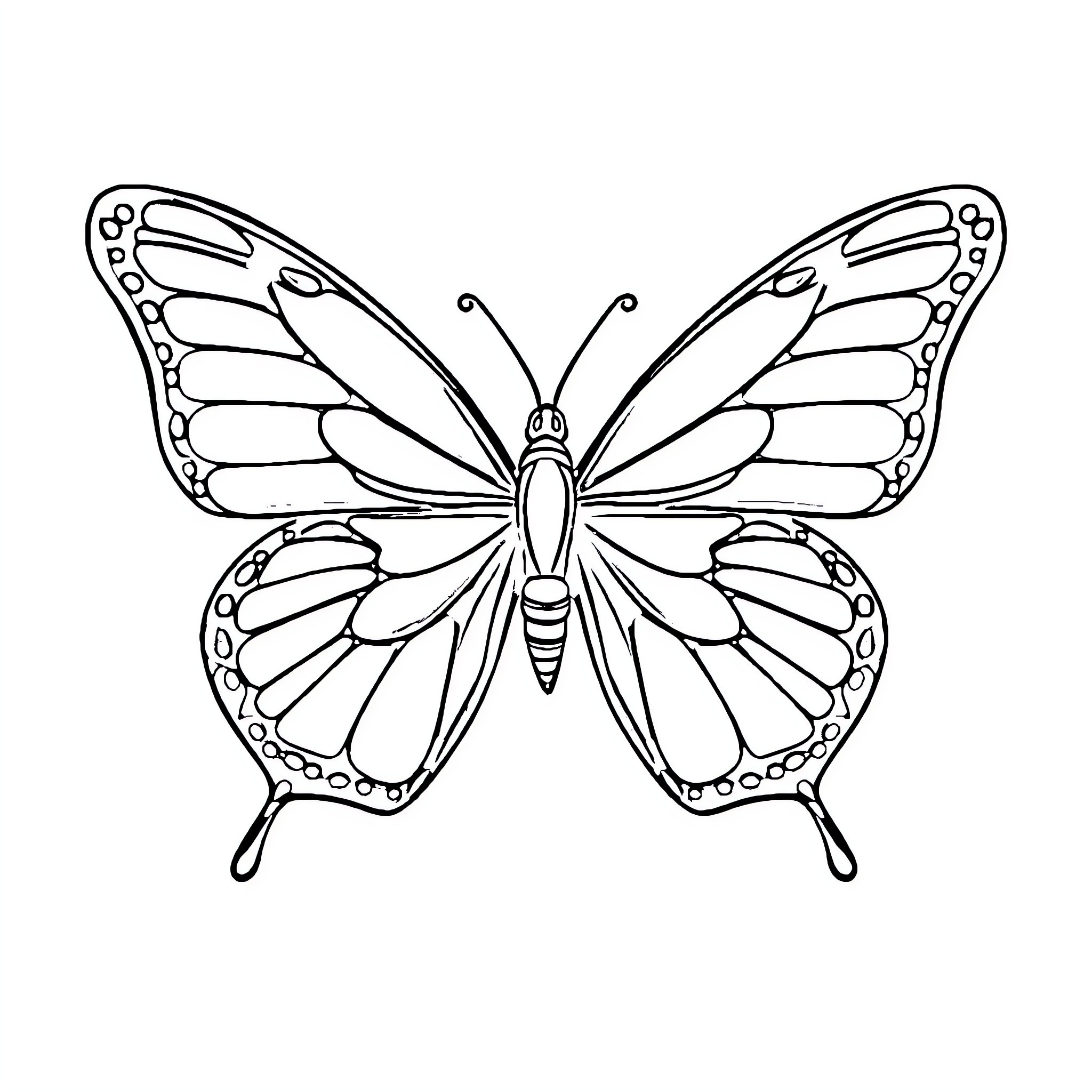Butterfly with intricate wing patterns Coloring Page (free black-and-white line drawing printable PDF for all, from beginners to advanced learners, including children, teens, adults, and seniors)