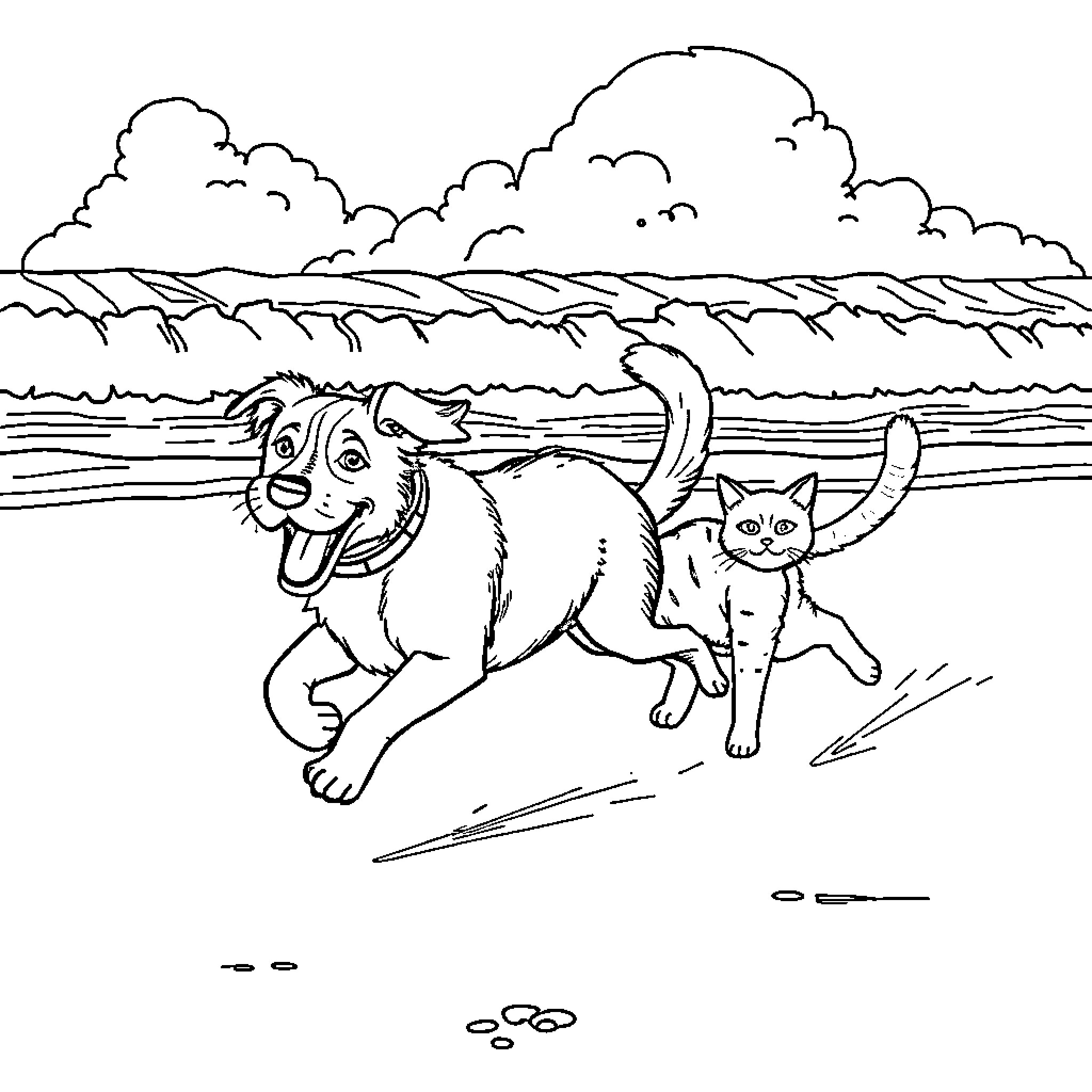 Dog and cat playing at the beach Coloring Page (free black-and-white line drawing printable PDF for all, from beginners to advanced learners, including children, teens, adults, and seniors)