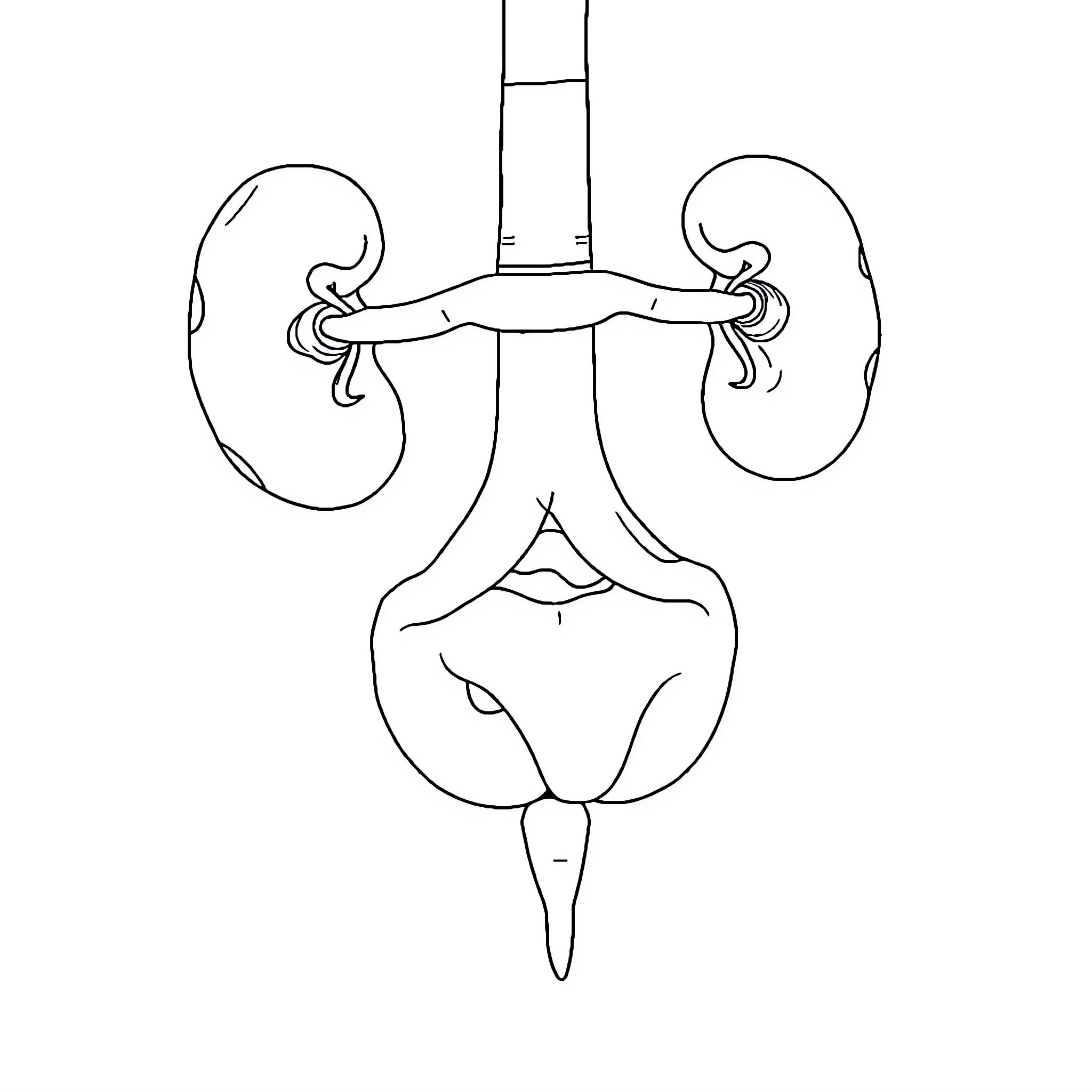 Best Veteran Coloring Pages (Free Printable PDF)