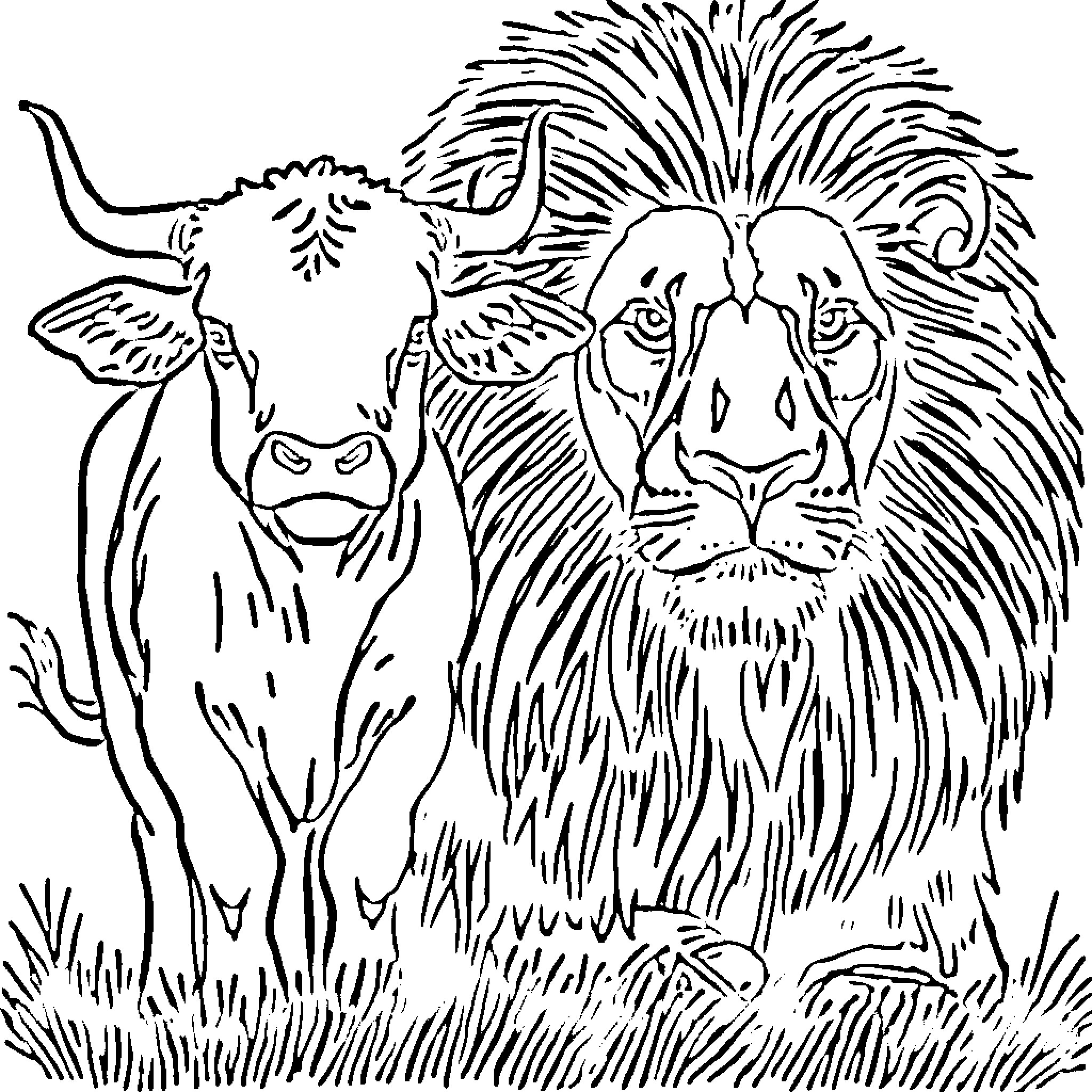 Vaca and Lion in the Wild Coloring Page (free black-and-white line drawing printable PDF for all, from beginners to advanced learners, including children, teens, adults, and seniors)
