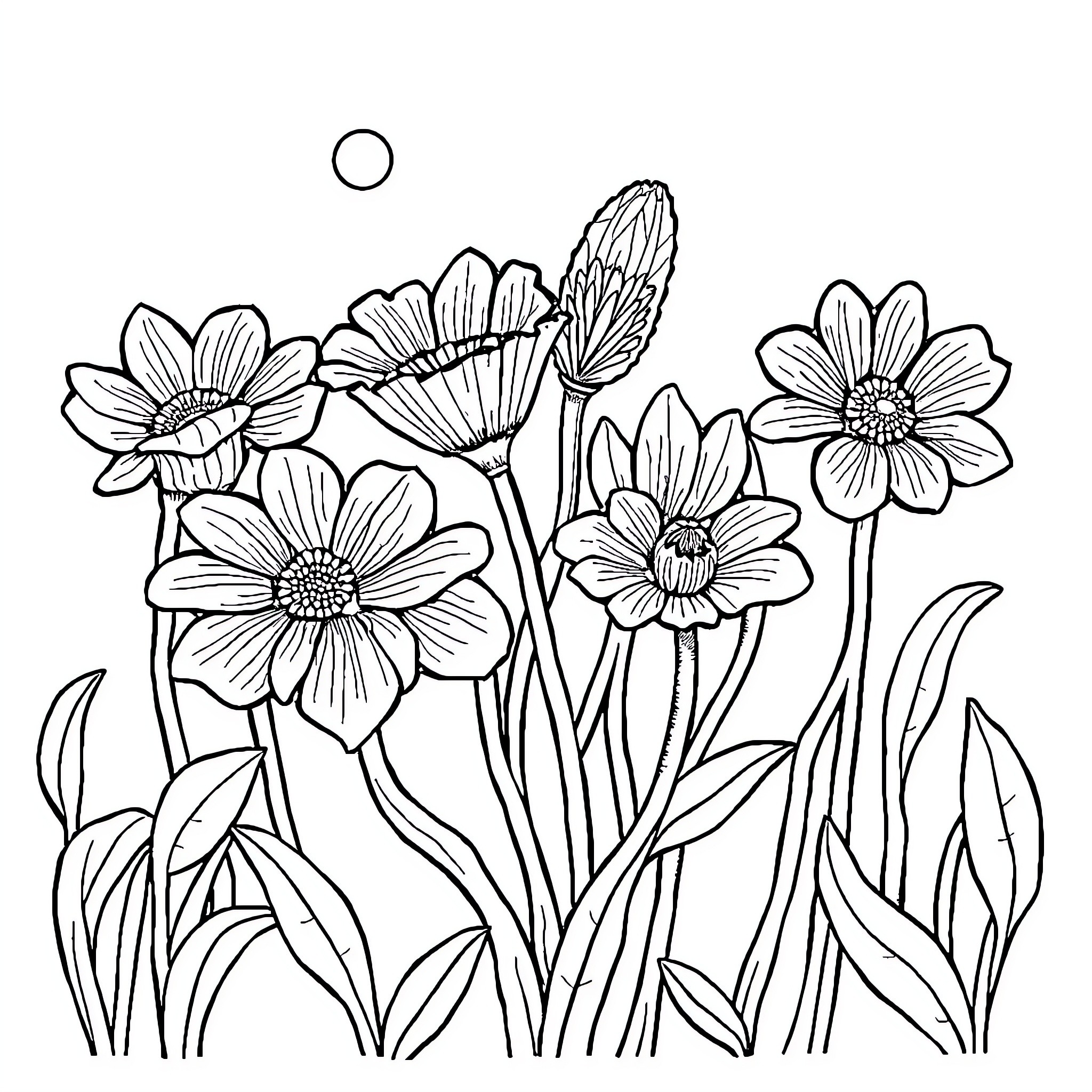 Best Malcolm Reynolds Coloring Pages (Free Printable PDF)