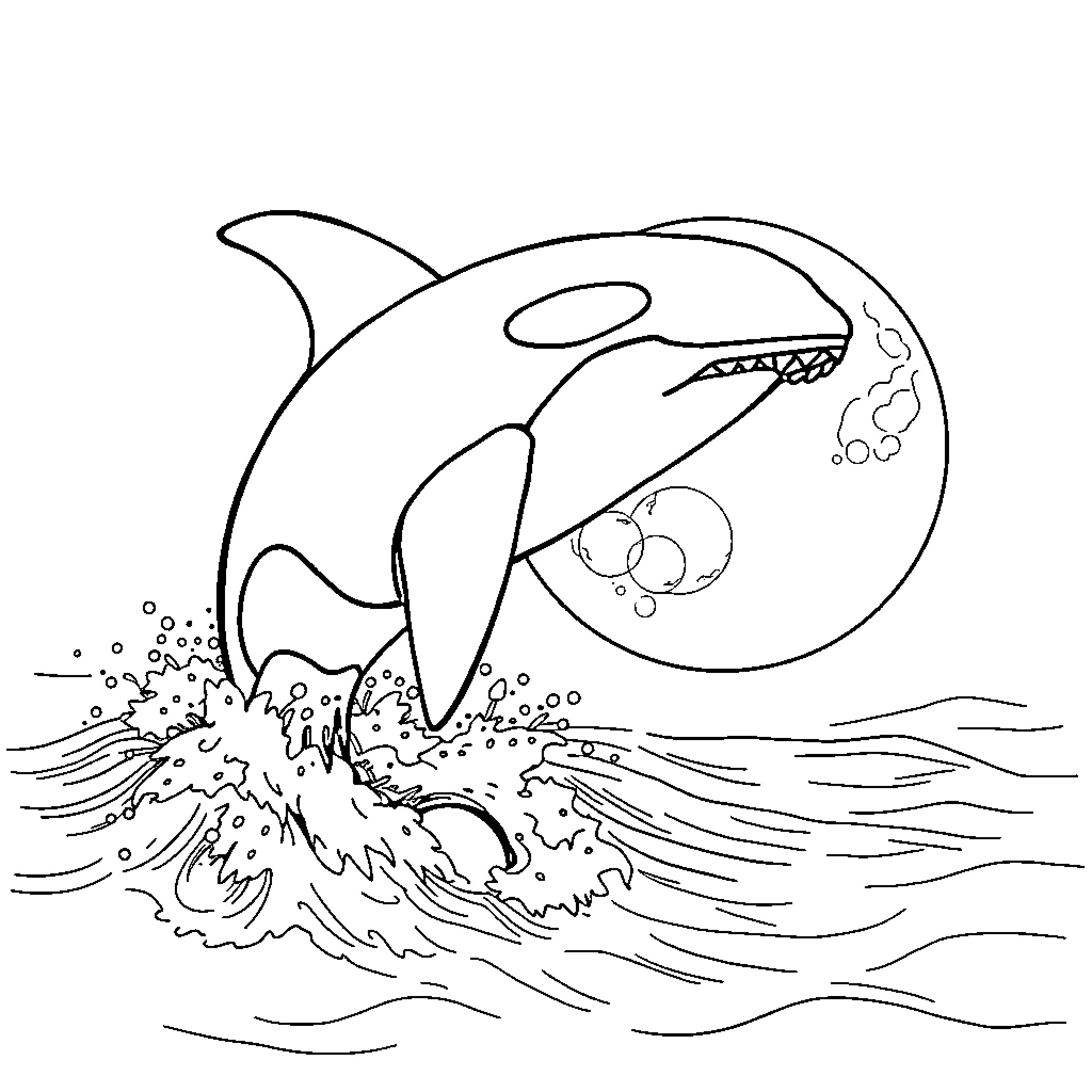 Orca leaping out of waves Coloring Page (free black-and-white line drawing printable PDF for all, from beginners to advanced learners, including children, teens, adults, and seniors)