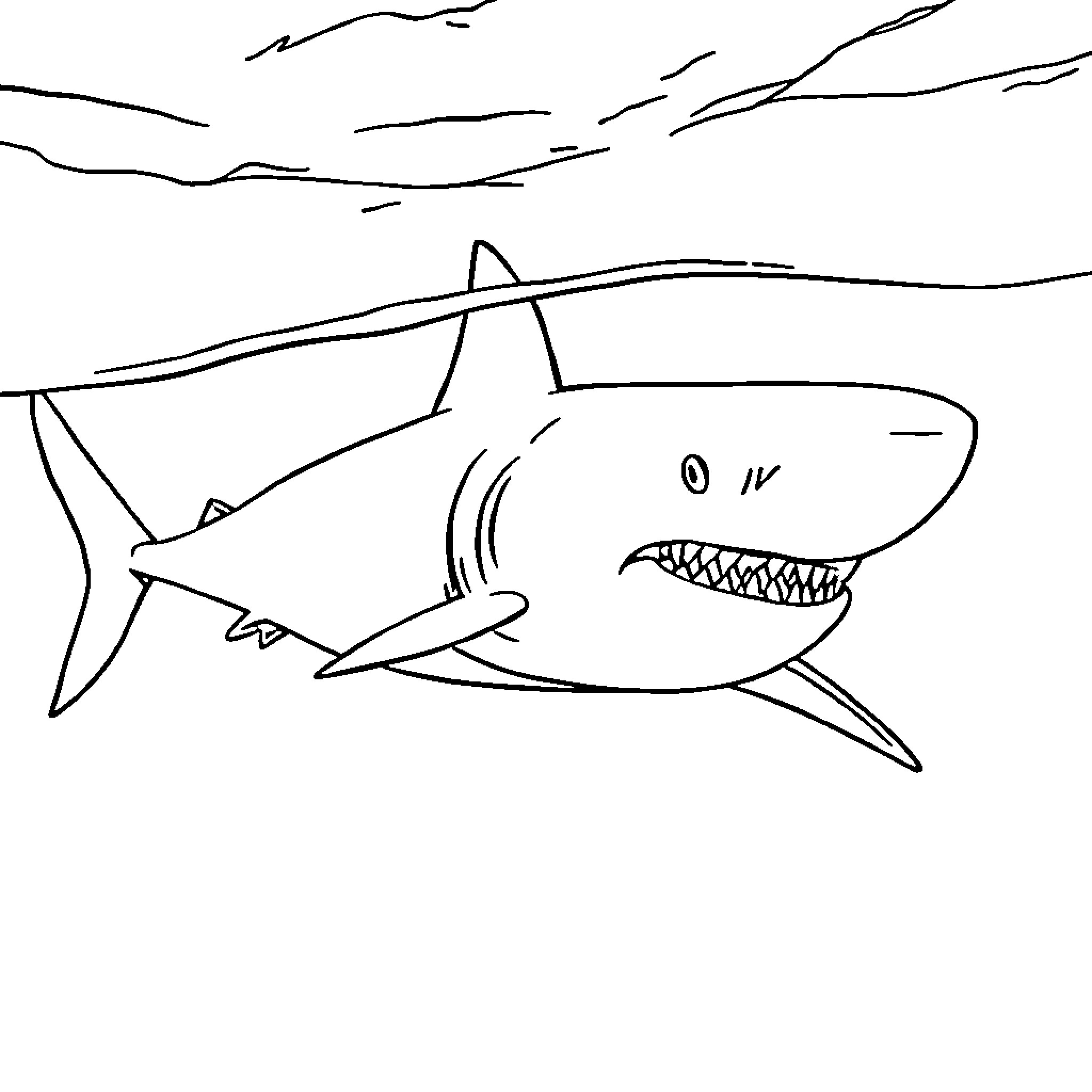 Shark swimming in the ocean Coloring Page (free black-and-white line drawing printable PDF for all, from beginners to advanced learners, including children, teens, adults, and seniors)