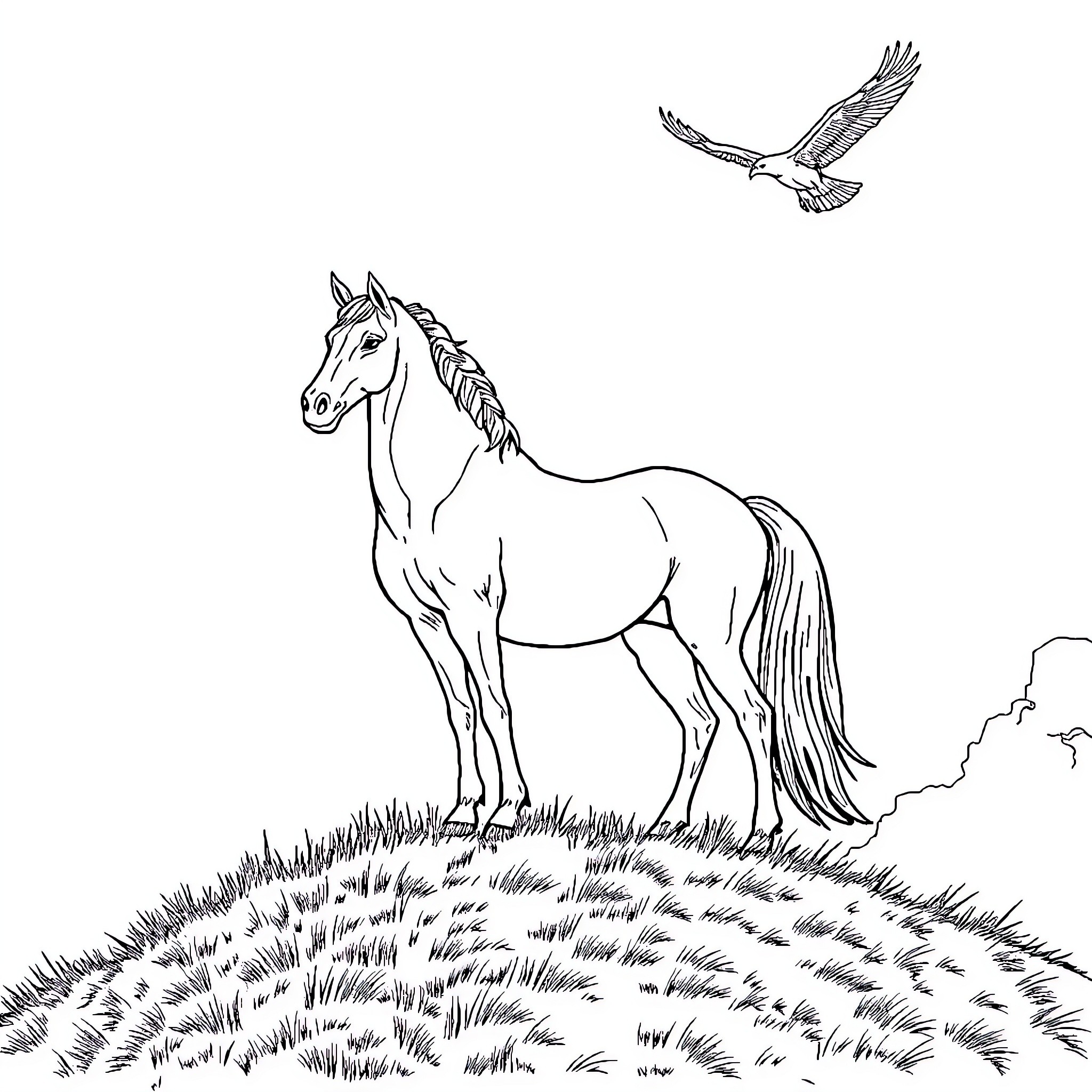 Horse standing majestically in a grassy field Coloring Page (free black-and-white line drawing printable PDF for all, from beginners to advanced learners, including children, teens, adults, and seniors)