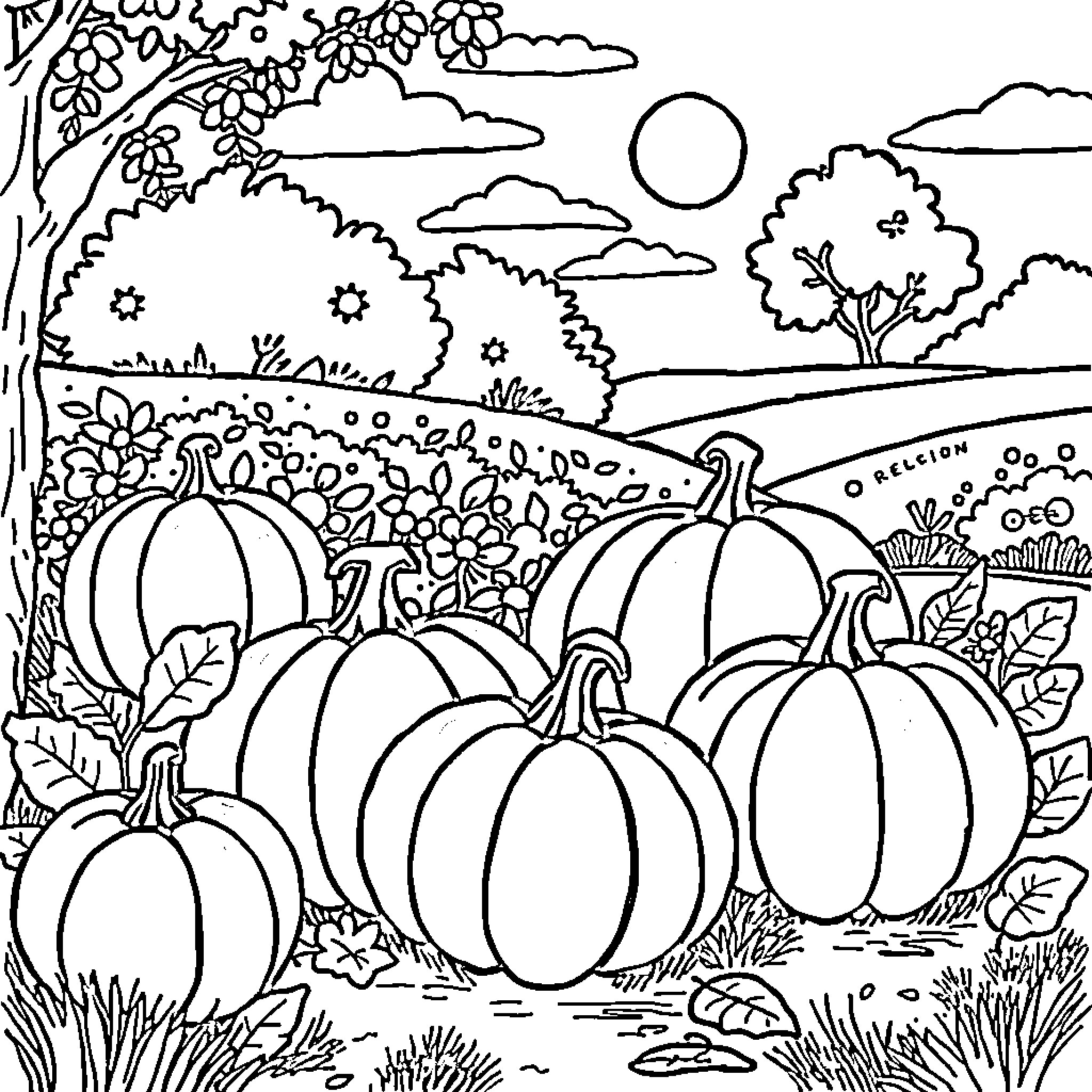 Pumpkin Patch in Autumn Landscape Coloring Page (free black-and-white line drawing printable PDF for all, from beginners to advanced learners, including children, teens, adults, and seniors)