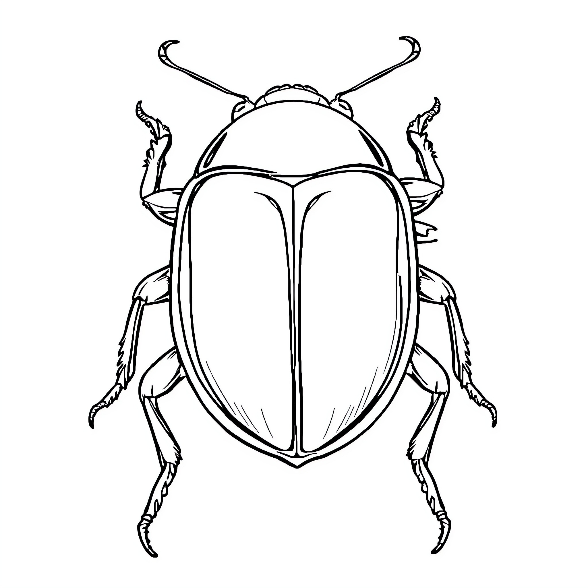 Beetle with intricate exoskeleton Coloring Page (free black-and-white line drawing printable PDF for all, from beginners to advanced learners, including children, teens, adults, and seniors)