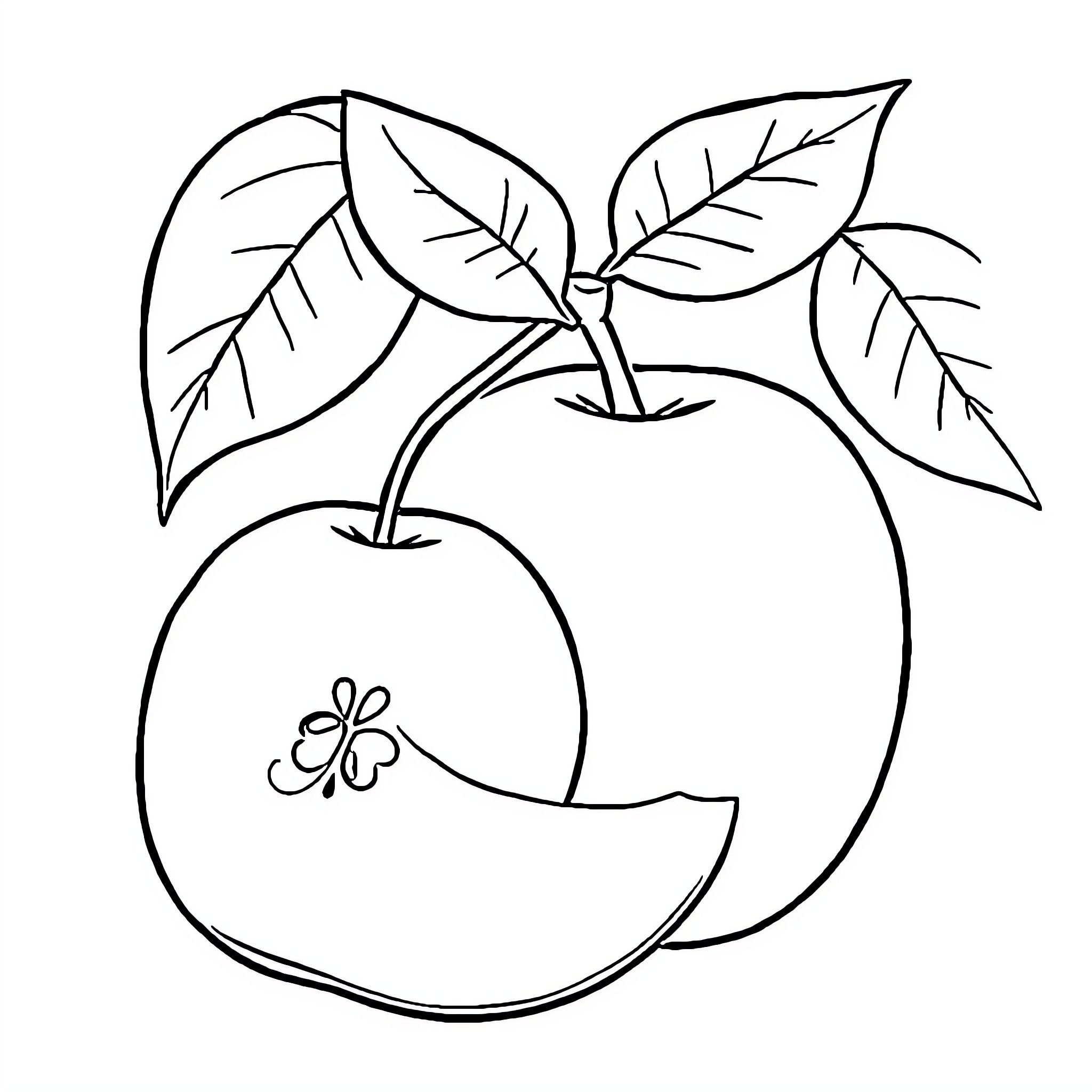 Apple tree with leaves and butterfly Coloring Page (free black-and-white line drawing printable PDF for all, from beginners to advanced learners, including children, teens, adults, and seniors)