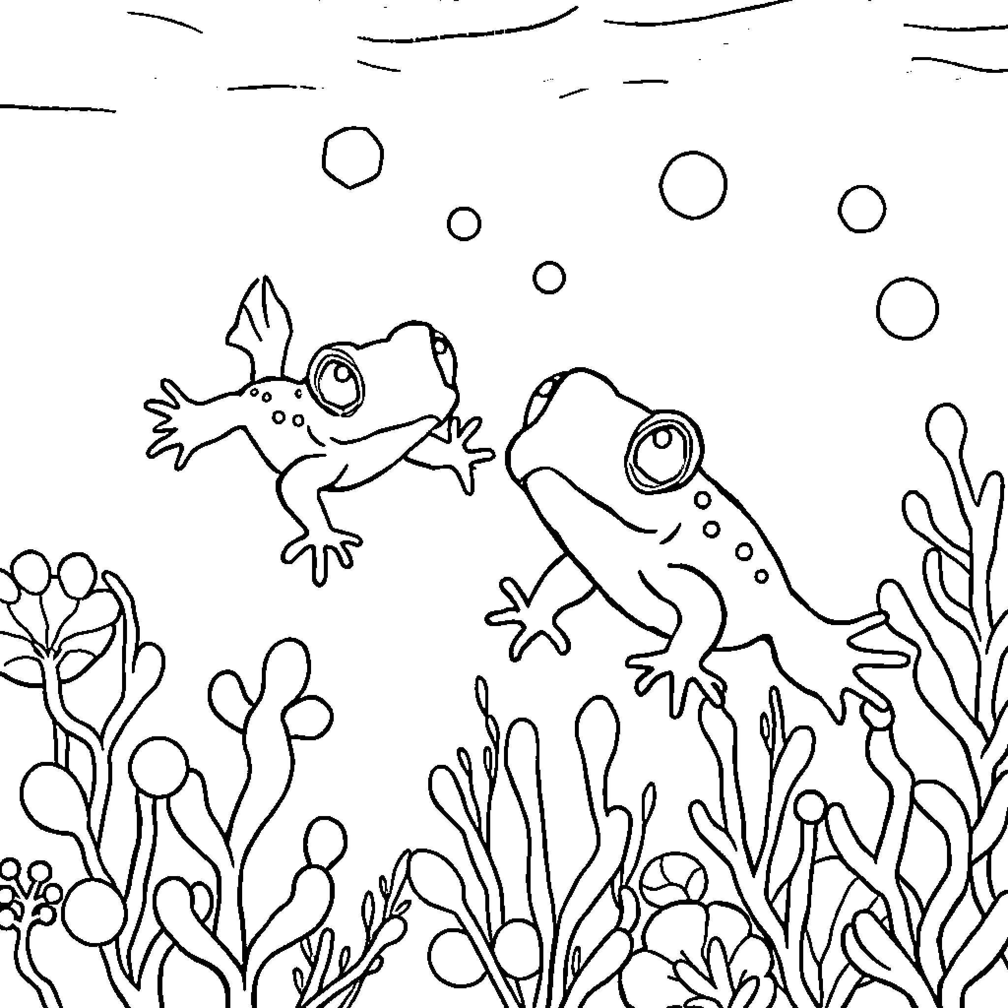 Tadpole playing amidst underwater plants and bubbles Coloring Page (free black-and-white line drawing printable PDF for all, from beginners to advanced learners, including children, teens, adults, and seniors)