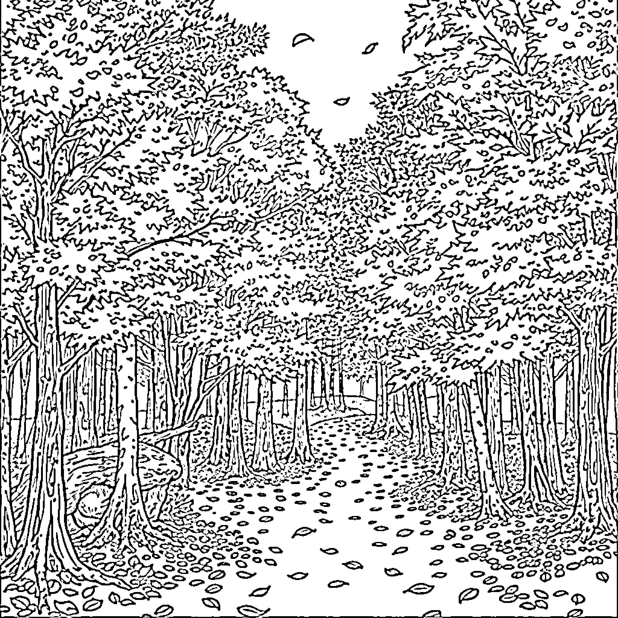 Forest Path Through Dense Foliage Coloring Page (free black-and-white line drawing printable PDF for all, from beginners to advanced learners, including children, teens, adults, and seniors)