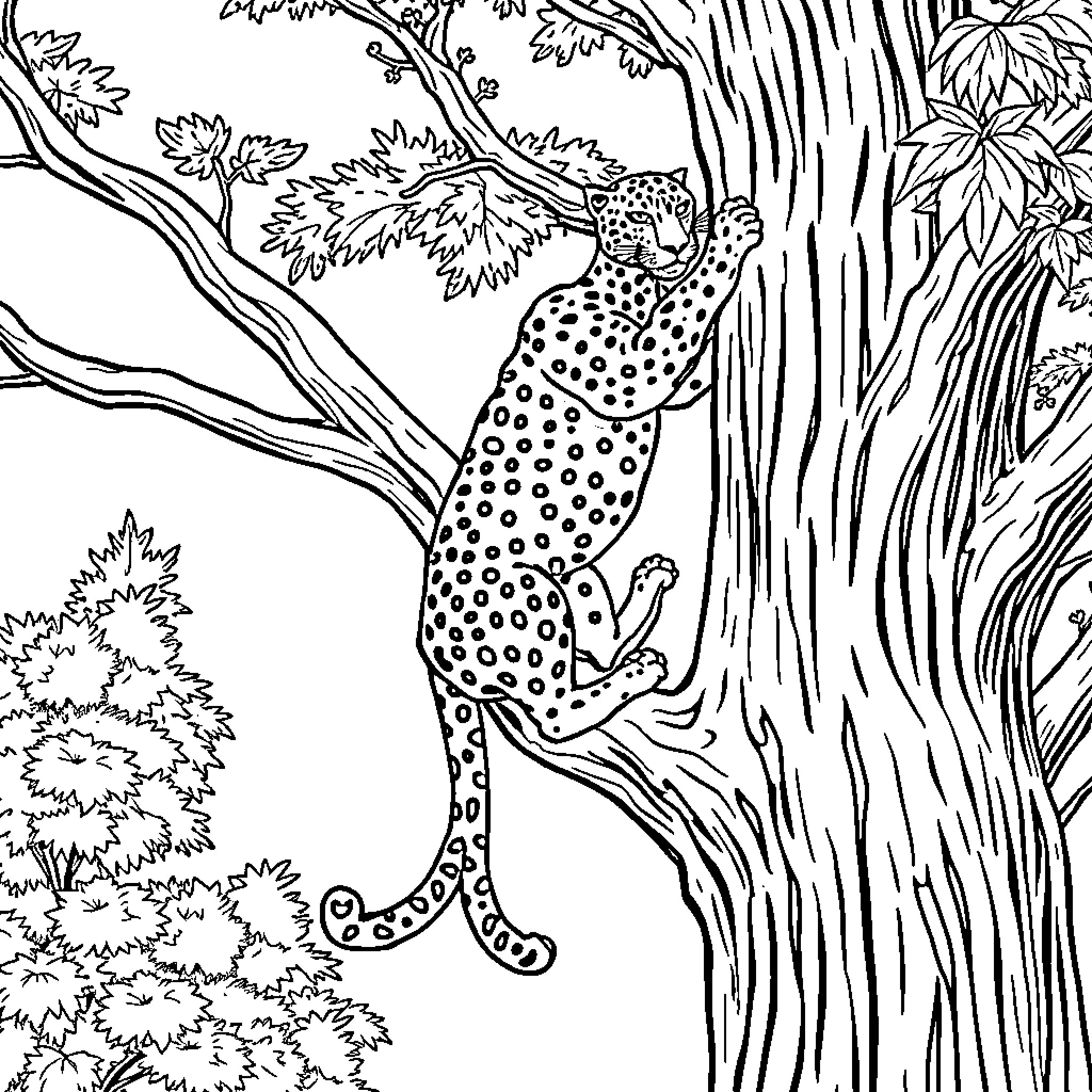 Jaguar resting on tree in forest Coloring Page (free black-and-white line drawing printable PDF for all, from beginners to advanced learners, including children, teens, adults, and seniors)