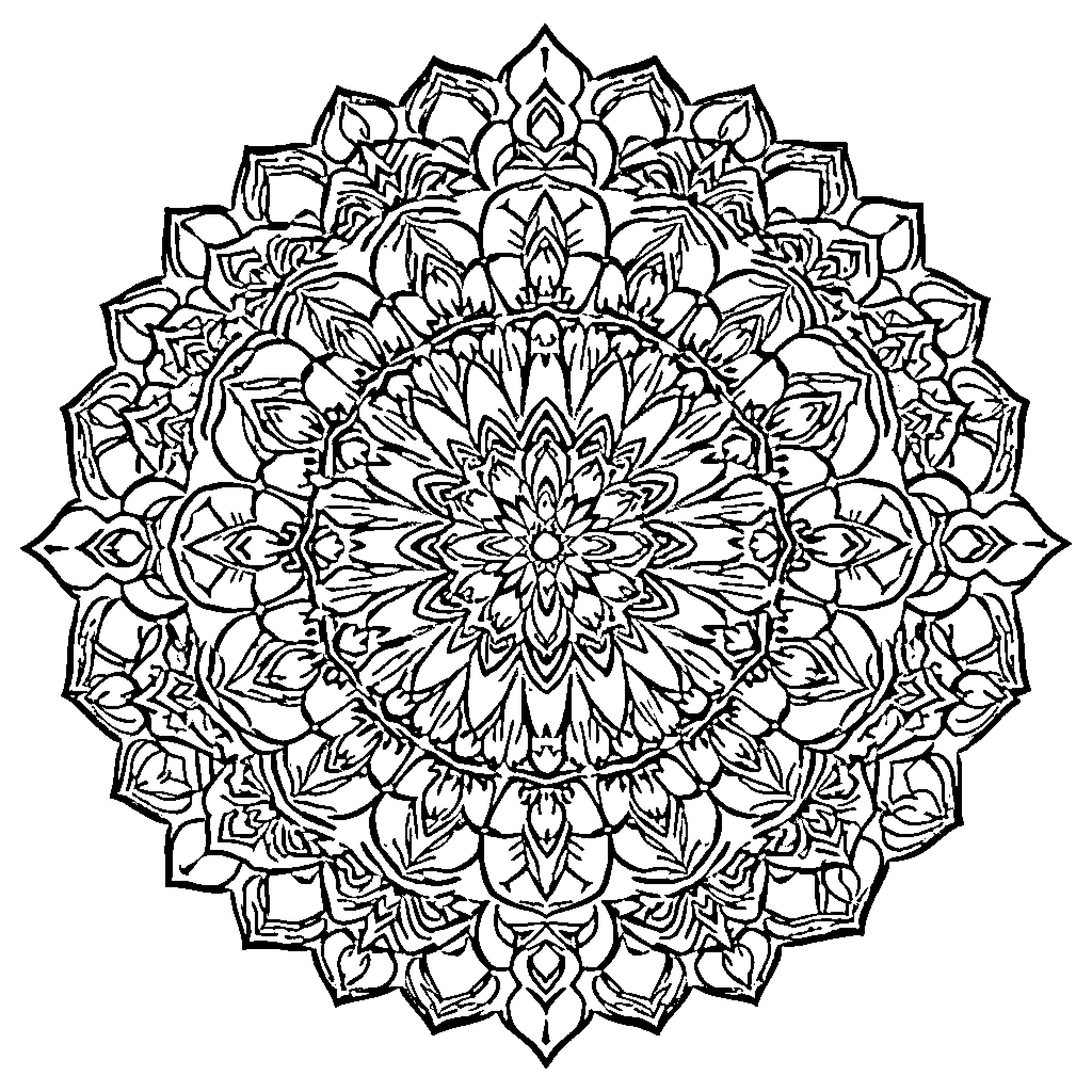 Mandala of intricate floral patterns Coloring Page (free black-and-white line drawing printable PDF for all, from beginners to advanced learners, including children, teens, adults, and seniors)