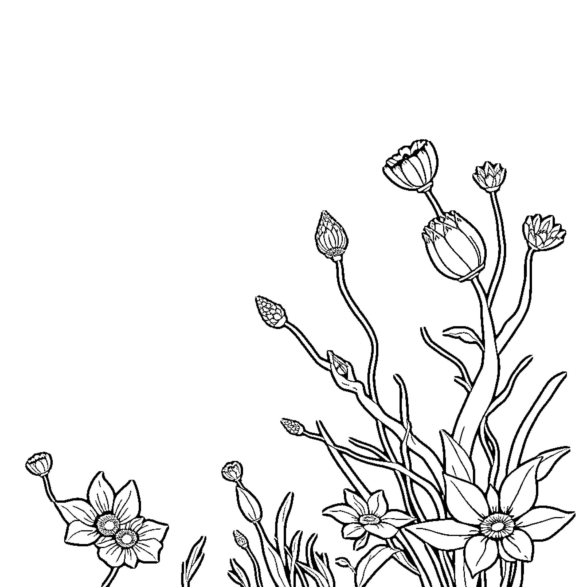 Background of floral illustrations in natural setting Coloring Page (free black-and-white line drawing printable PDF for all, from beginners to advanced learners, including children, teens, adults, and seniors)