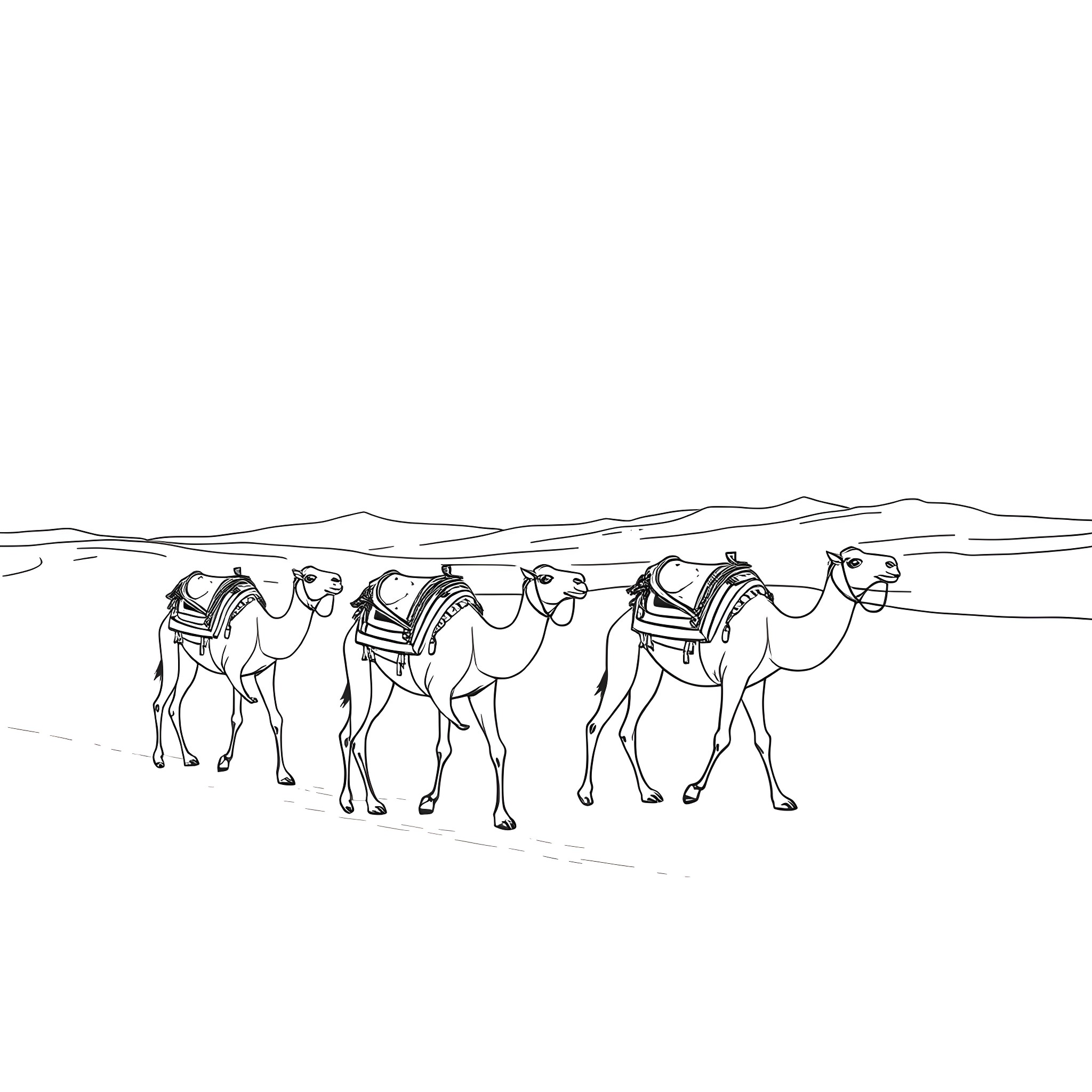 Camels traveling together in the desert Coloring Page (free black-and-white line drawing printable PDF for all, from beginners to advanced learners, including children, teens, adults, and seniors)