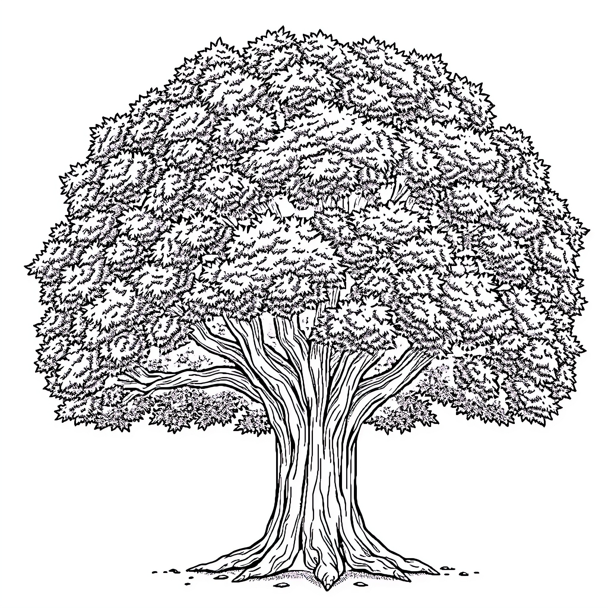 Maple Tree with Intricate Foliage Coloring Page (free black-and-white line drawing printable PDF for all, from beginners to advanced learners, including children, teens, adults, and seniors)