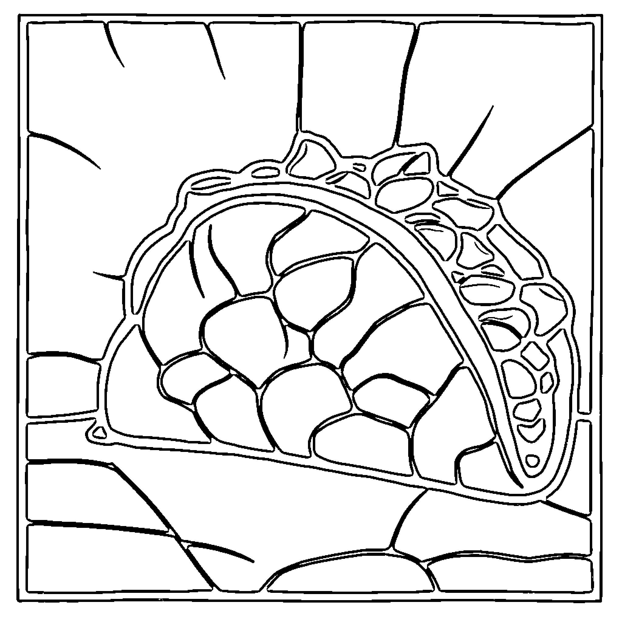 Taco with abstract shell pattern Coloring Page (free black-and-white line drawing printable PDF for all, from beginners to advanced learners, including children, teens, adults, and seniors)