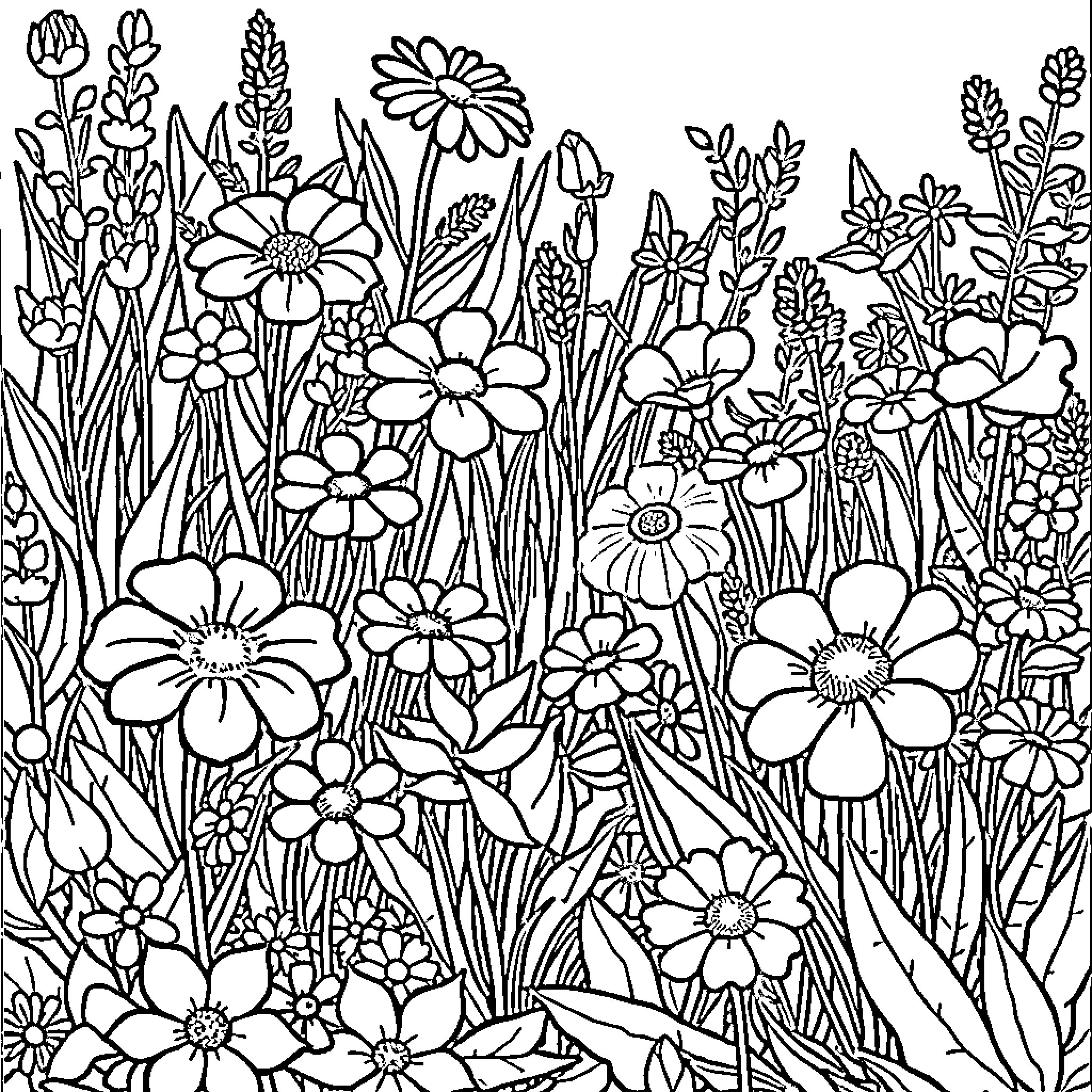 Garden filled with blooming flowers and lush vegetation Coloring Page (free black-and-white line drawing printable PDF for all, from beginners to advanced learners, including children, teens, adults, and seniors)