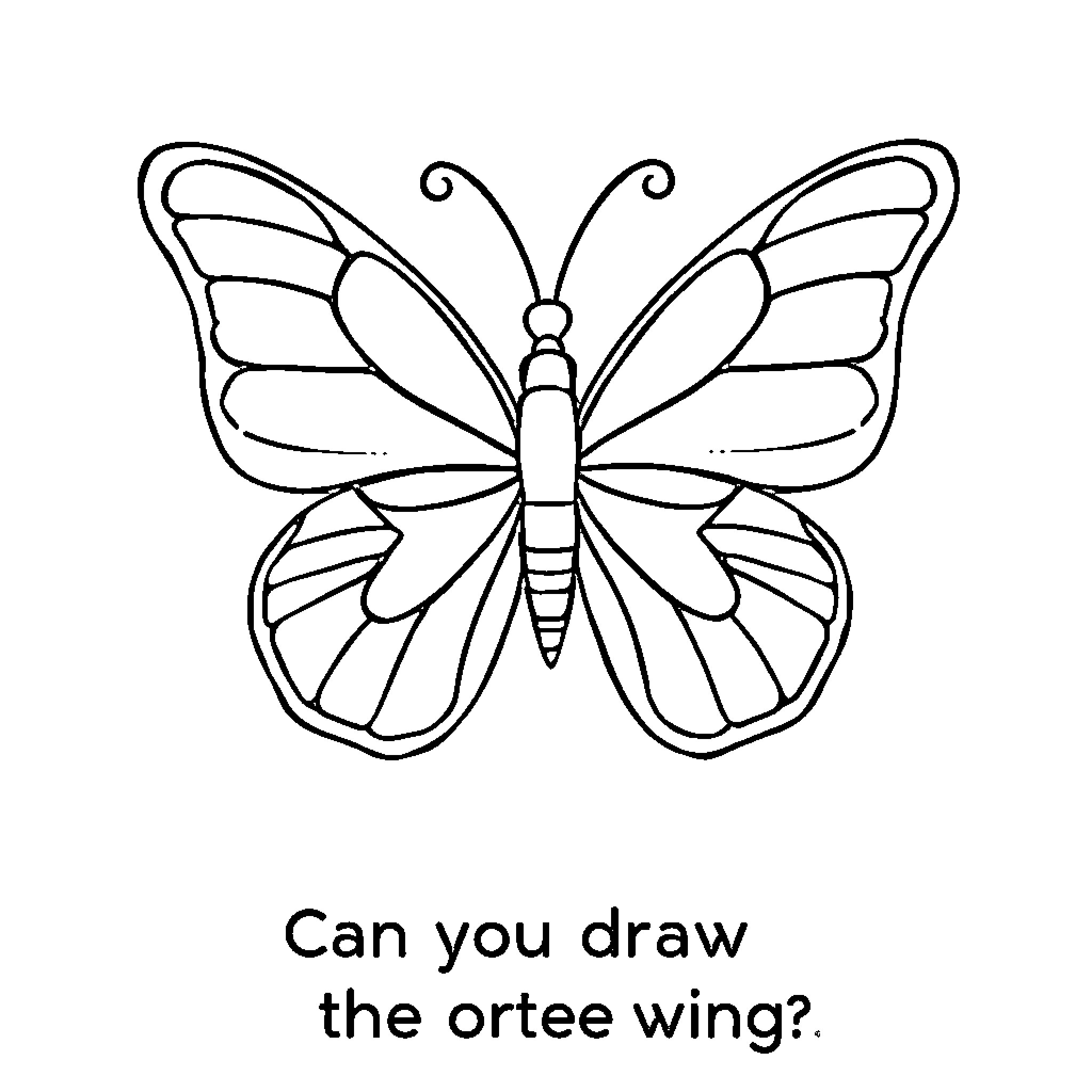 Butterfly with intricate wing patterns Coloring Page (free black-and-white line drawing printable PDF for all, from beginners to advanced learners, including children, teens, adults, and seniors)