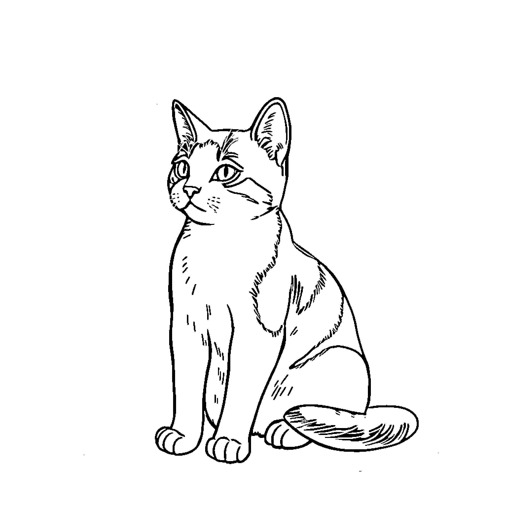 Calico Cat sitting calmly Coloring Page (free black-and-white line drawing printable PDF for all, from beginners to advanced learners, including children, teens, adults, and seniors)