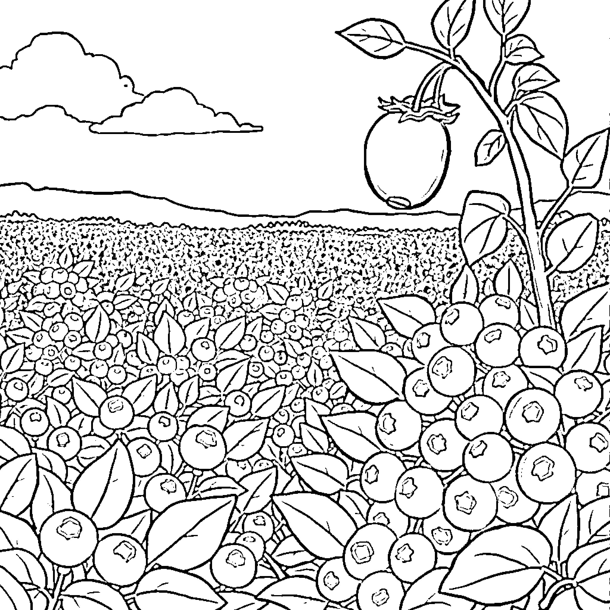 Blueberry Field with Apple Tree Coloring Page (free black-and-white line drawing printable PDF for all, from beginners to advanced learners, including children, teens, adults, and seniors)