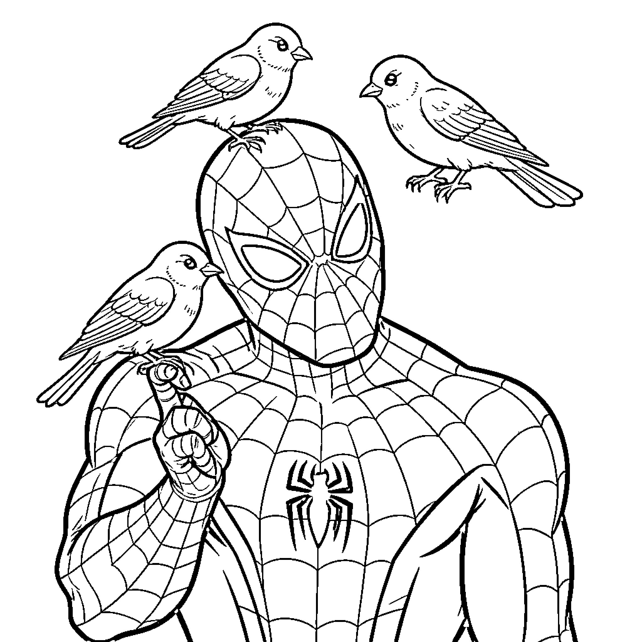 Spiderman standing calmly with birds perched on him Coloring Page (free black-and-white line drawing printable PDF for all, from beginners to advanced learners, including children, teens, adults, and seniors)