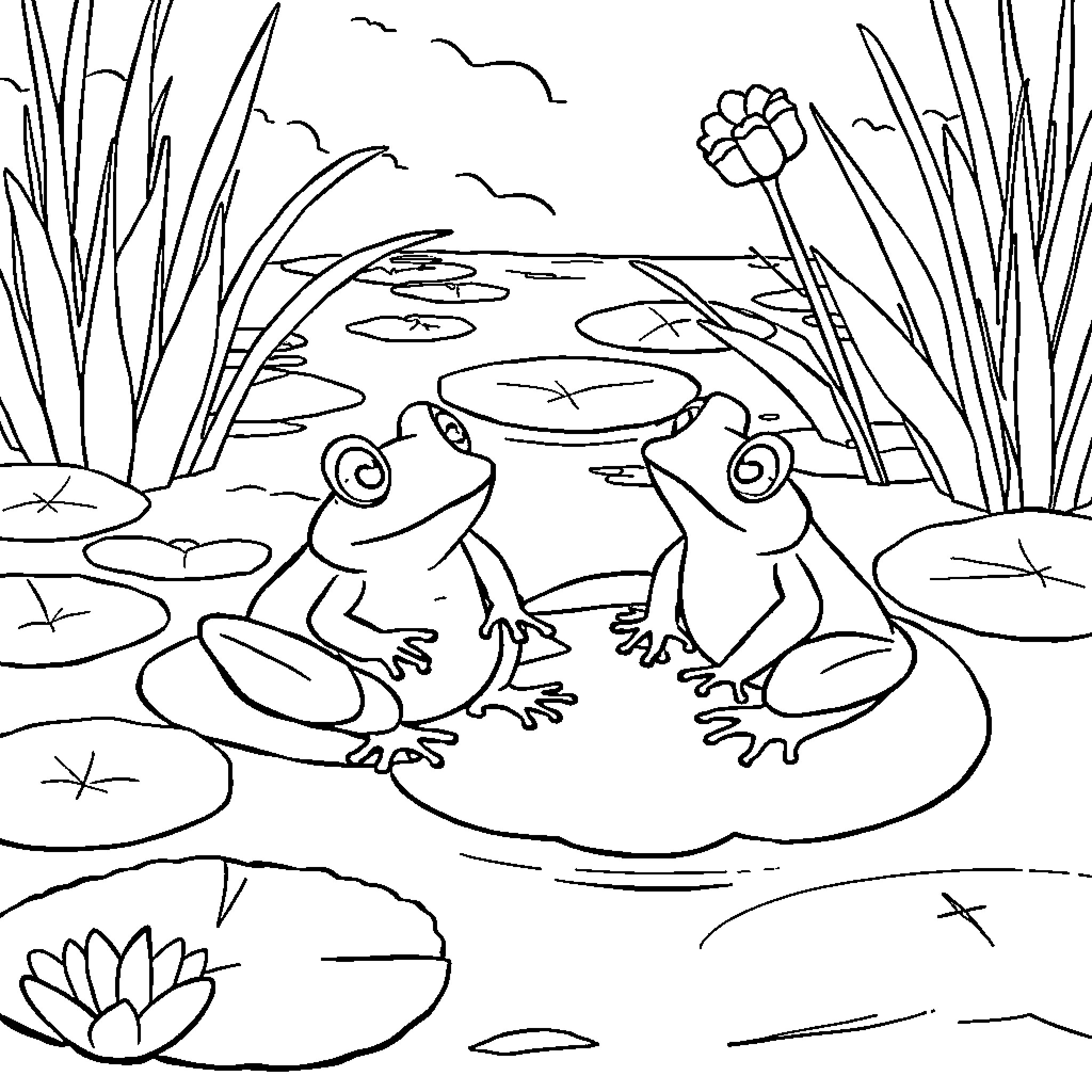 Frog pair enjoying pond scenery Coloring Page (free black-and-white line drawing printable PDF for all, from beginners to advanced learners, including children, teens, adults, and seniors)
