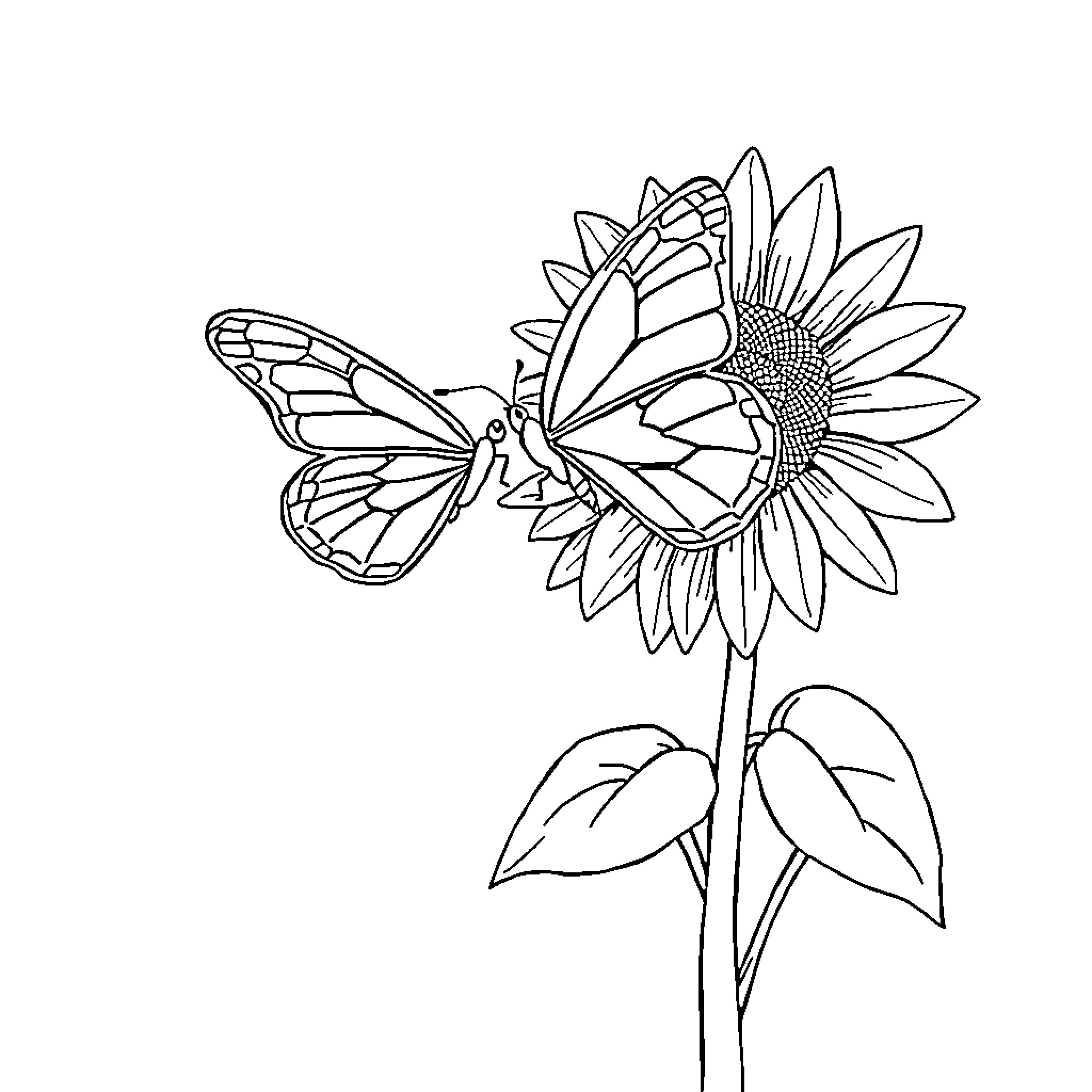 Butterfly resting on sunflower Coloring Page (free black-and-white line drawing printable PDF for all, from beginners to advanced learners, including children, teens, adults, and seniors)