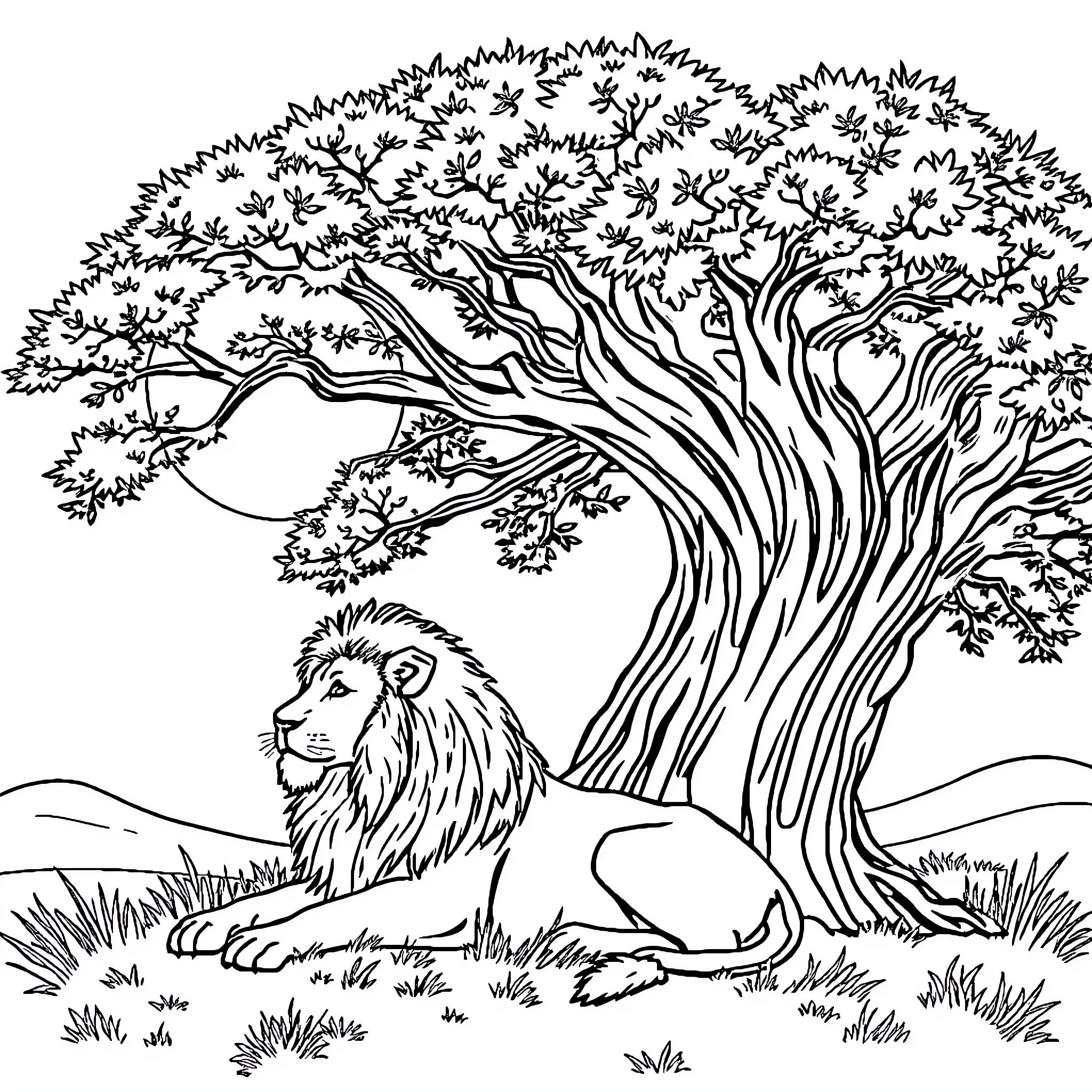 Lion resting under large tree in natural landscape Coloring Page (free black-and-white line drawing printable PDF for all, from beginners to advanced learners, including children, teens, adults, and seniors)