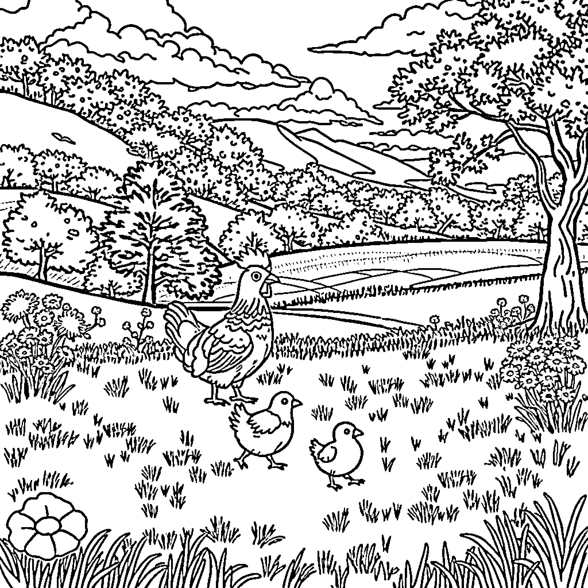 Rooster and Chicks in Scenic Countryside Coloring Page (free black-and-white line drawing printable PDF for all, from beginners to advanced learners, including children, teens, adults, and seniors)
