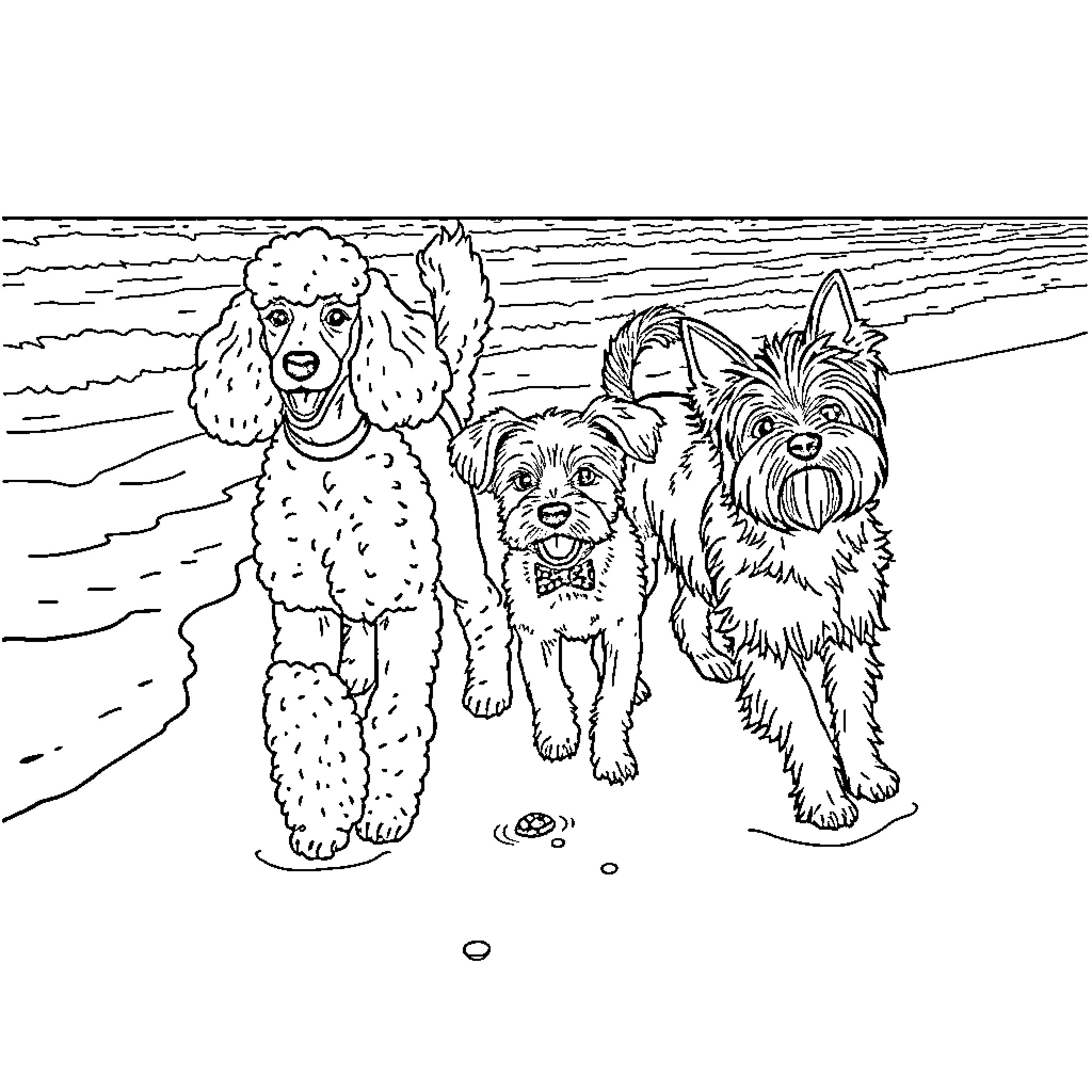 Dogs playing joyfully at the beach Coloring Page (free black-and-white line drawing printable PDF for all, from beginners to advanced learners, including children, teens, adults, and seniors)